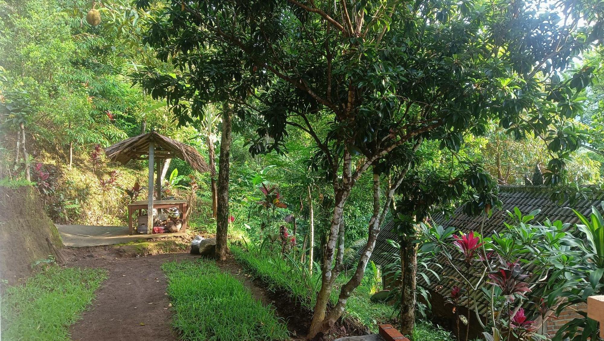 Buda's Lemukih Homestay