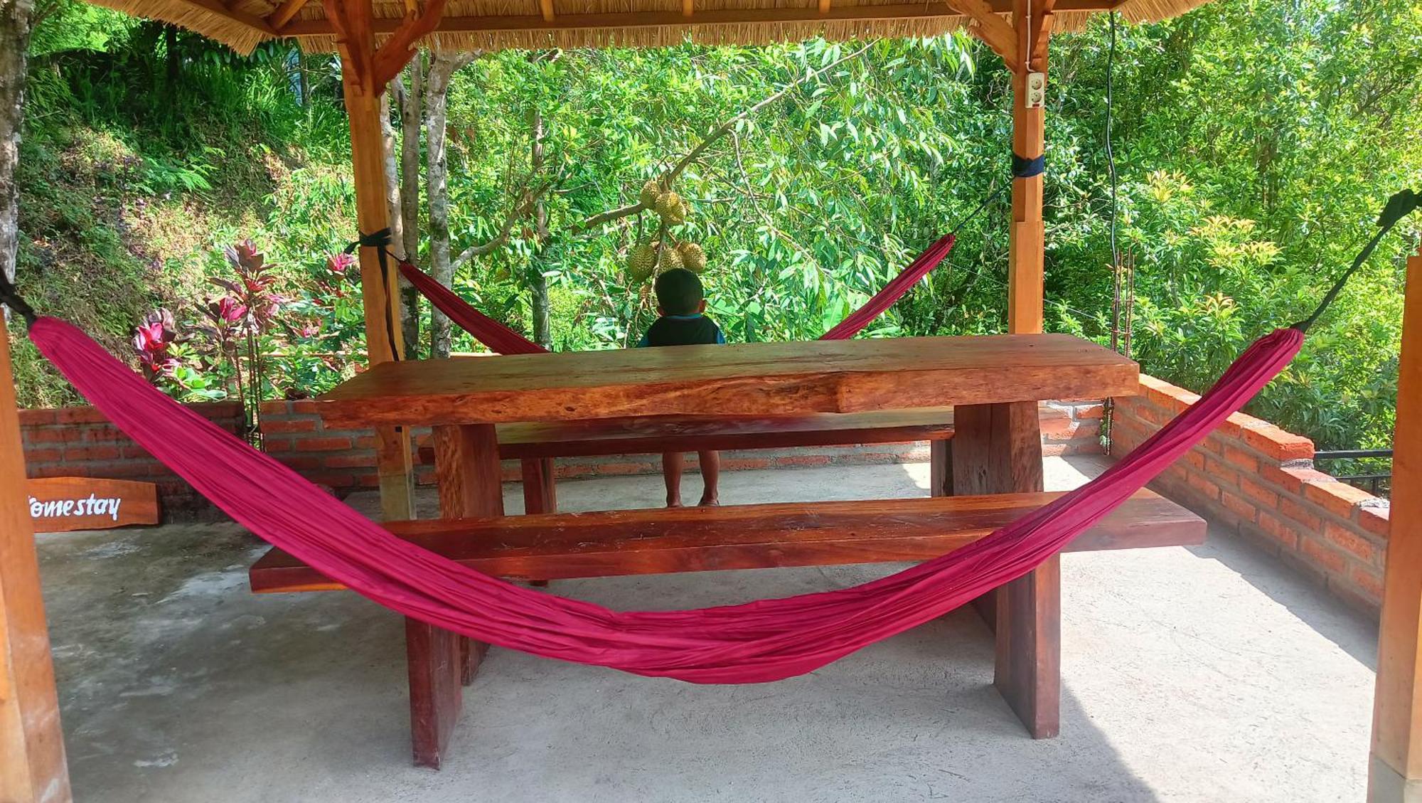 Buda's Lemukih Homestay *