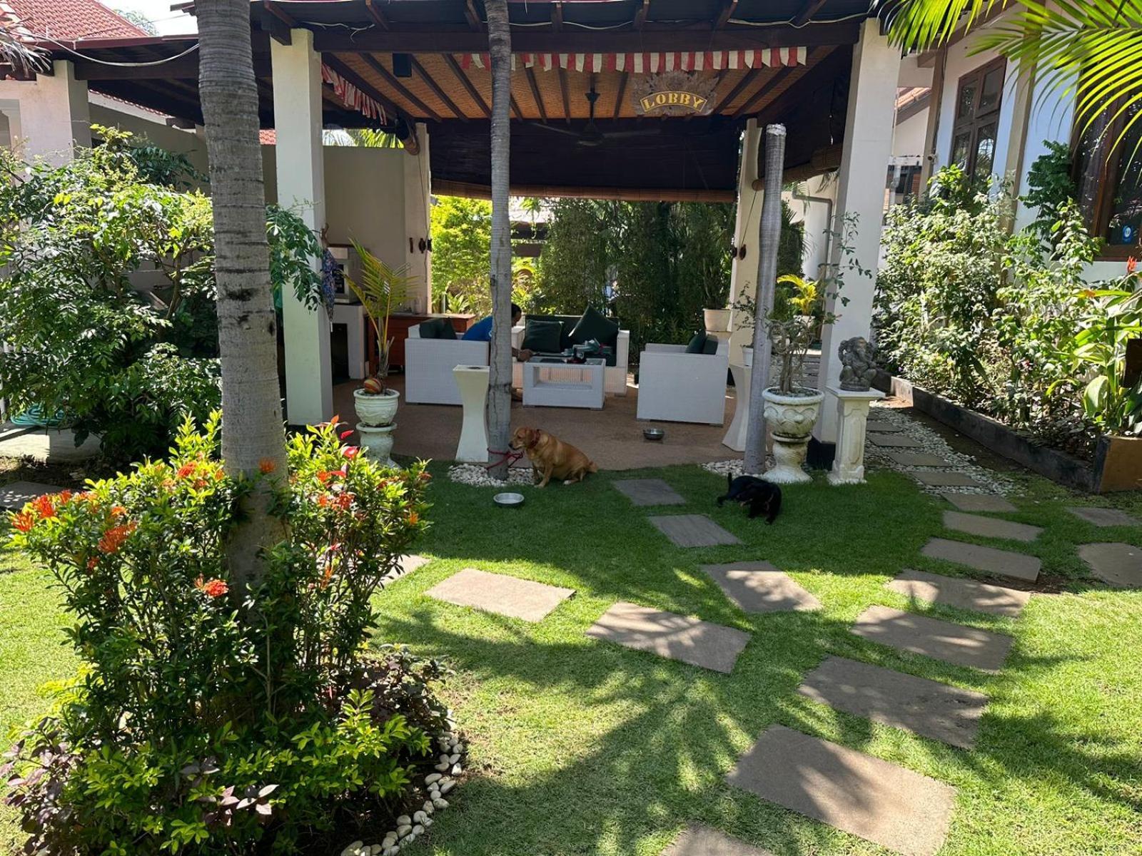 Ocean Dive - Guest house Tulamben (Bali)