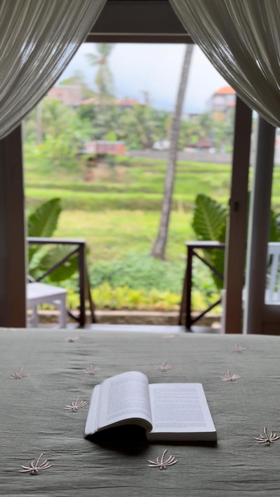 Damuh Pertivi, River And Rice Fields View Homestay