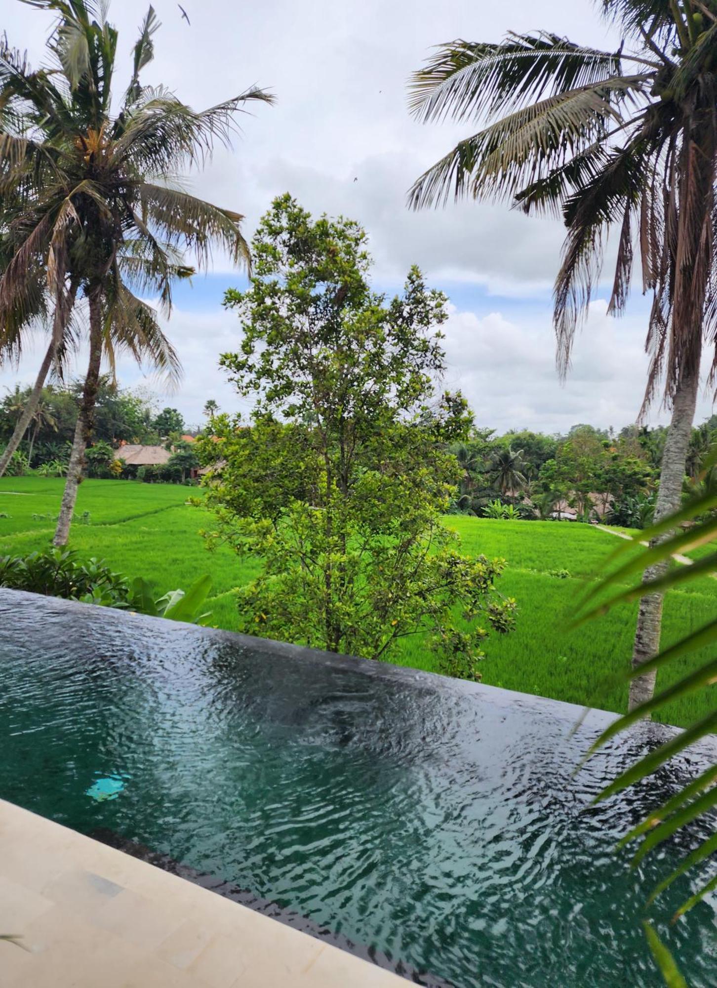 Villa Motama *
