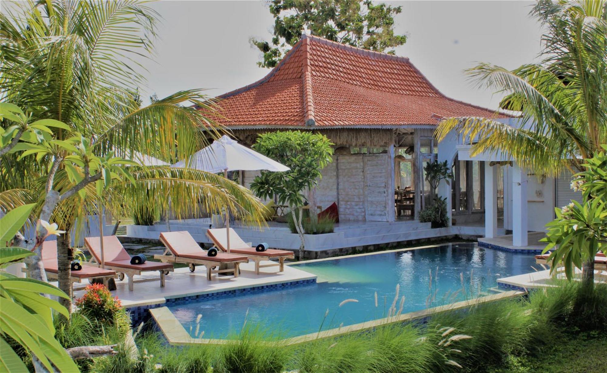 Resort Village Jungle *