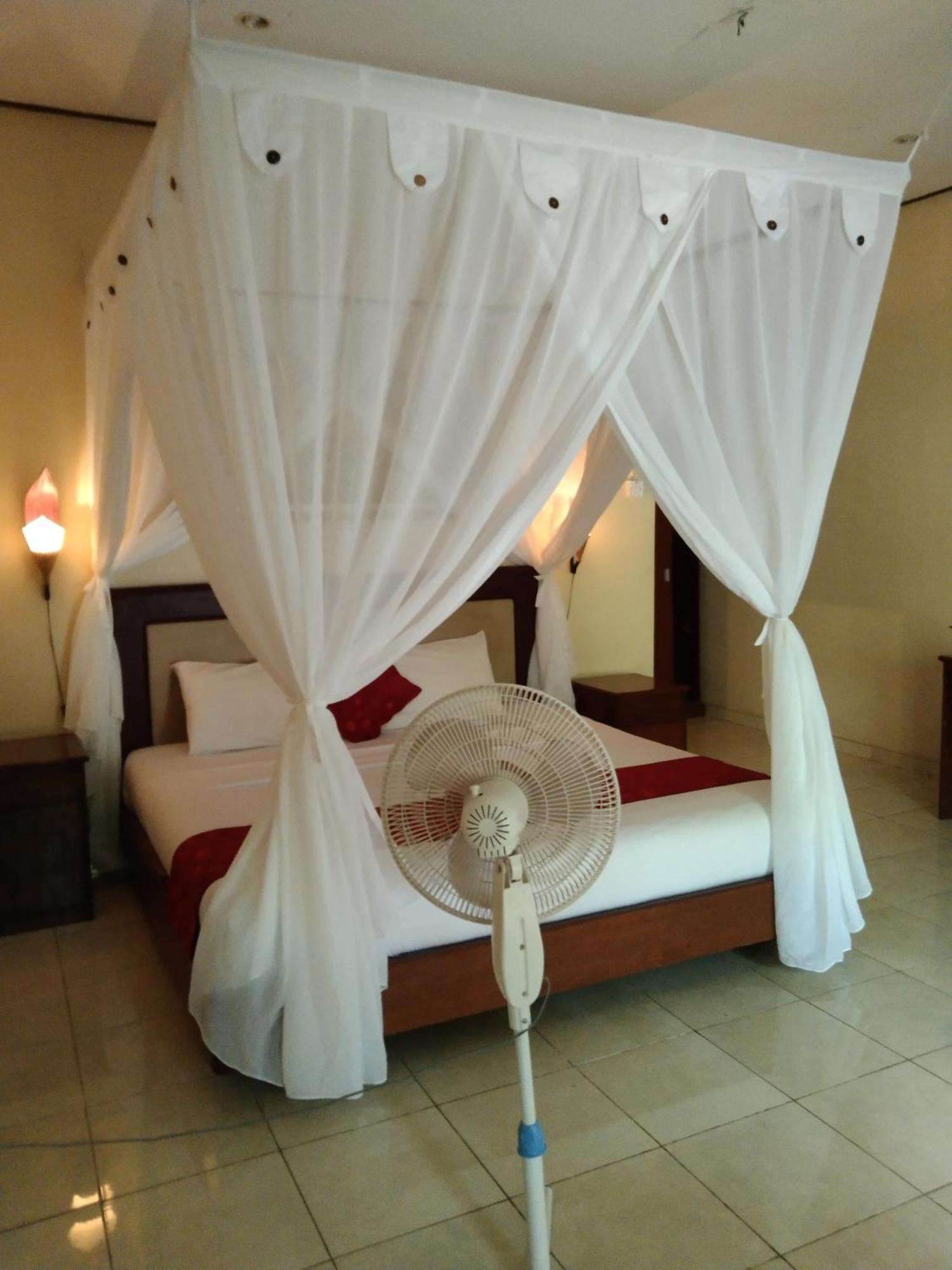 Aldi * Amed (Bali)