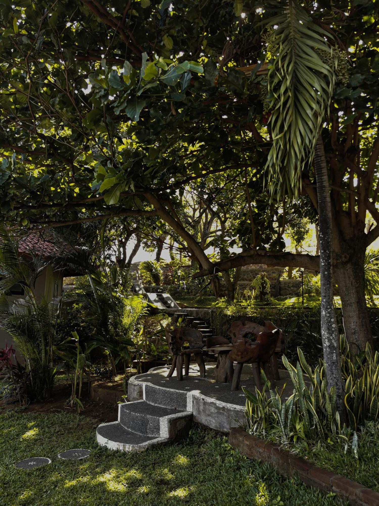 Resort The Hamsa Lovina (Bali)