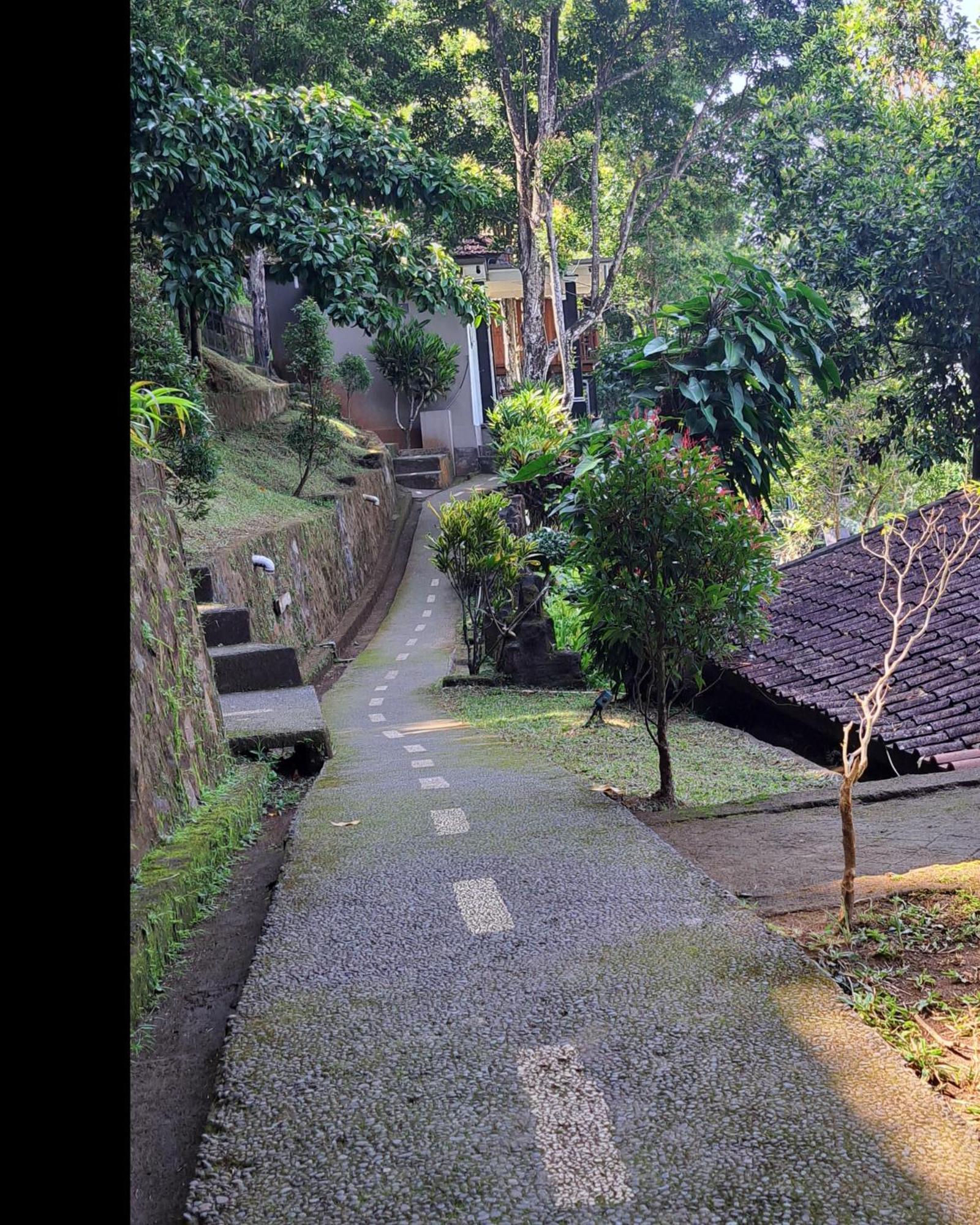 Bali Rahayu *