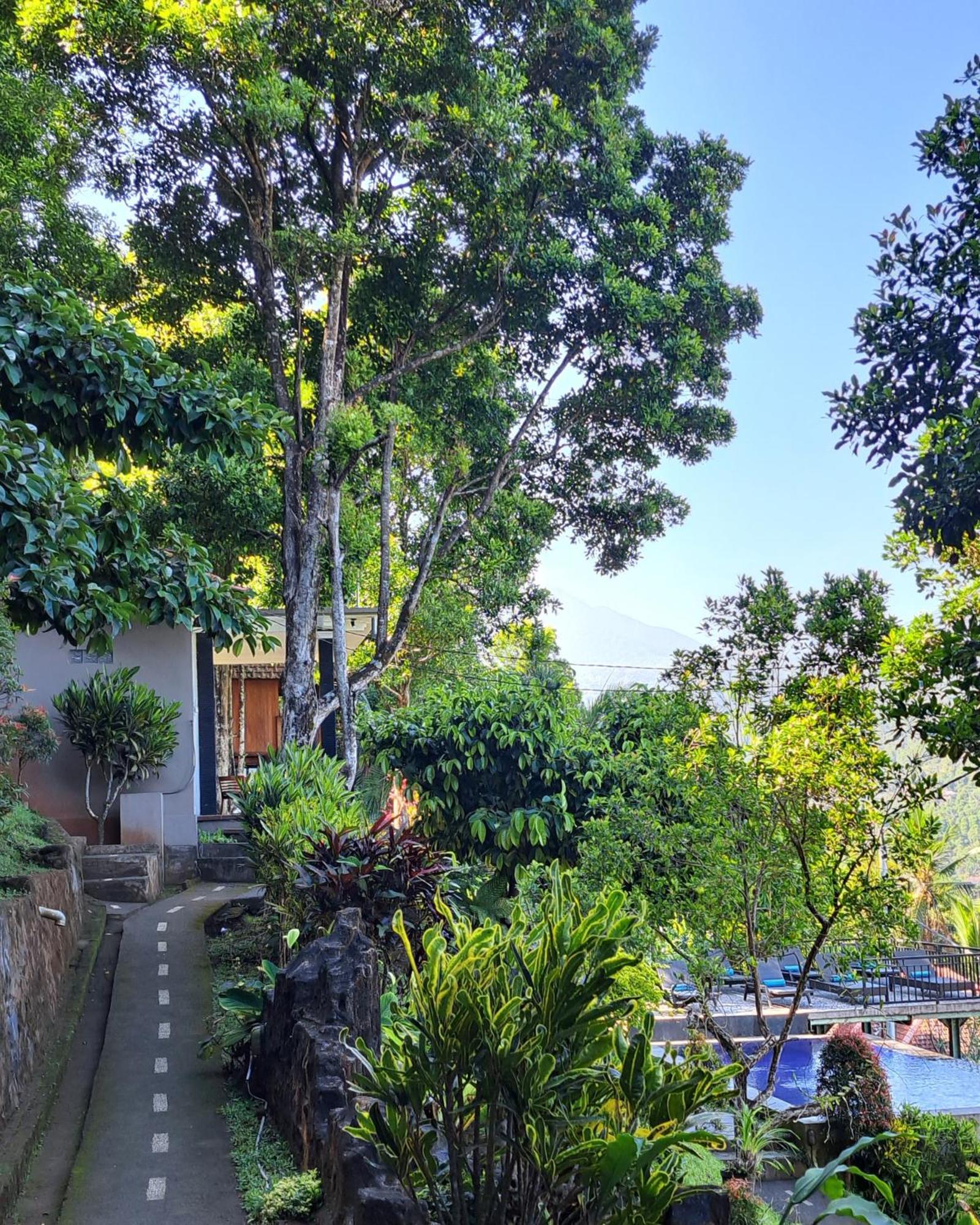Bali Rahayu