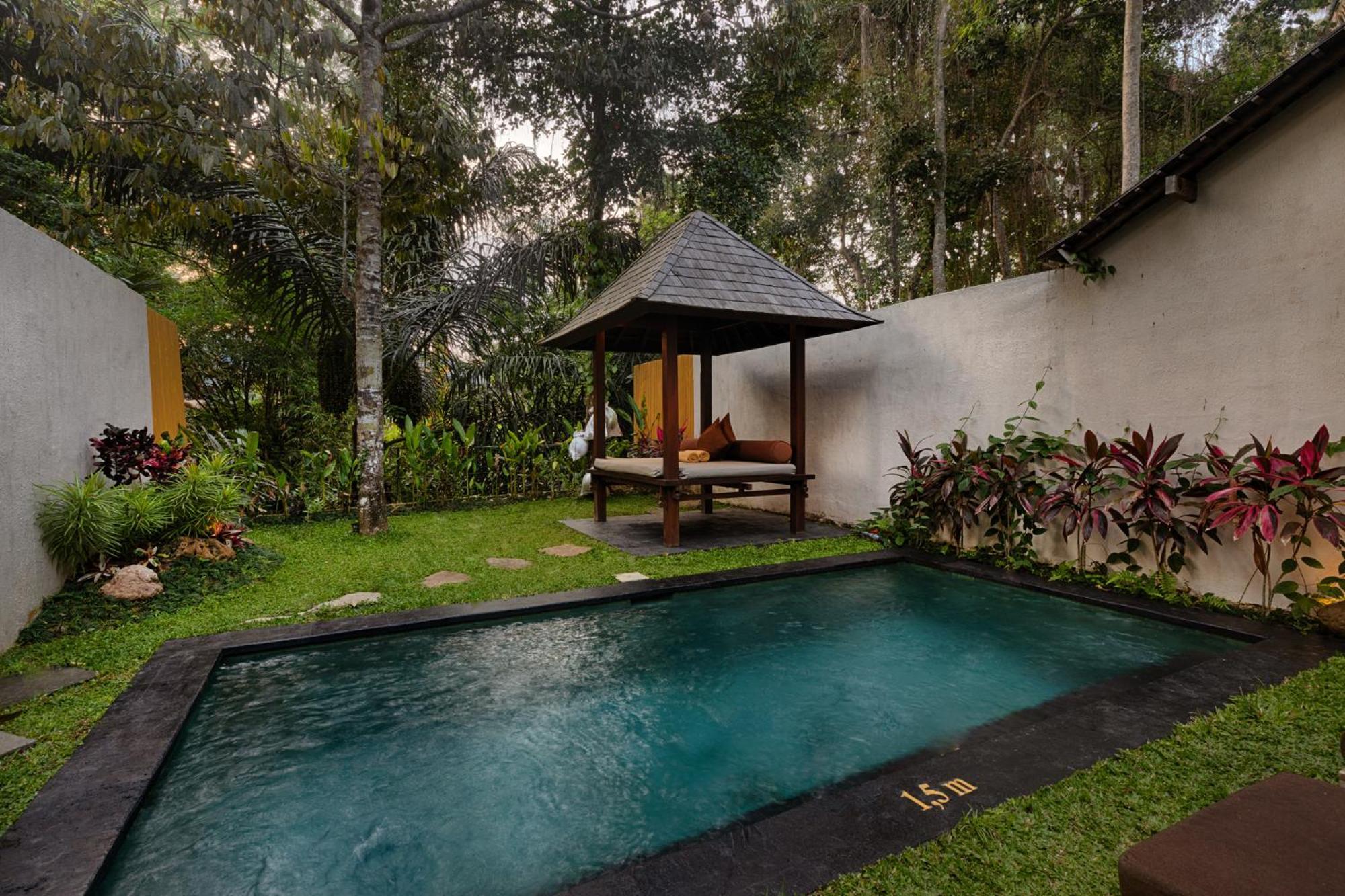 Padi Ubud (Bali)