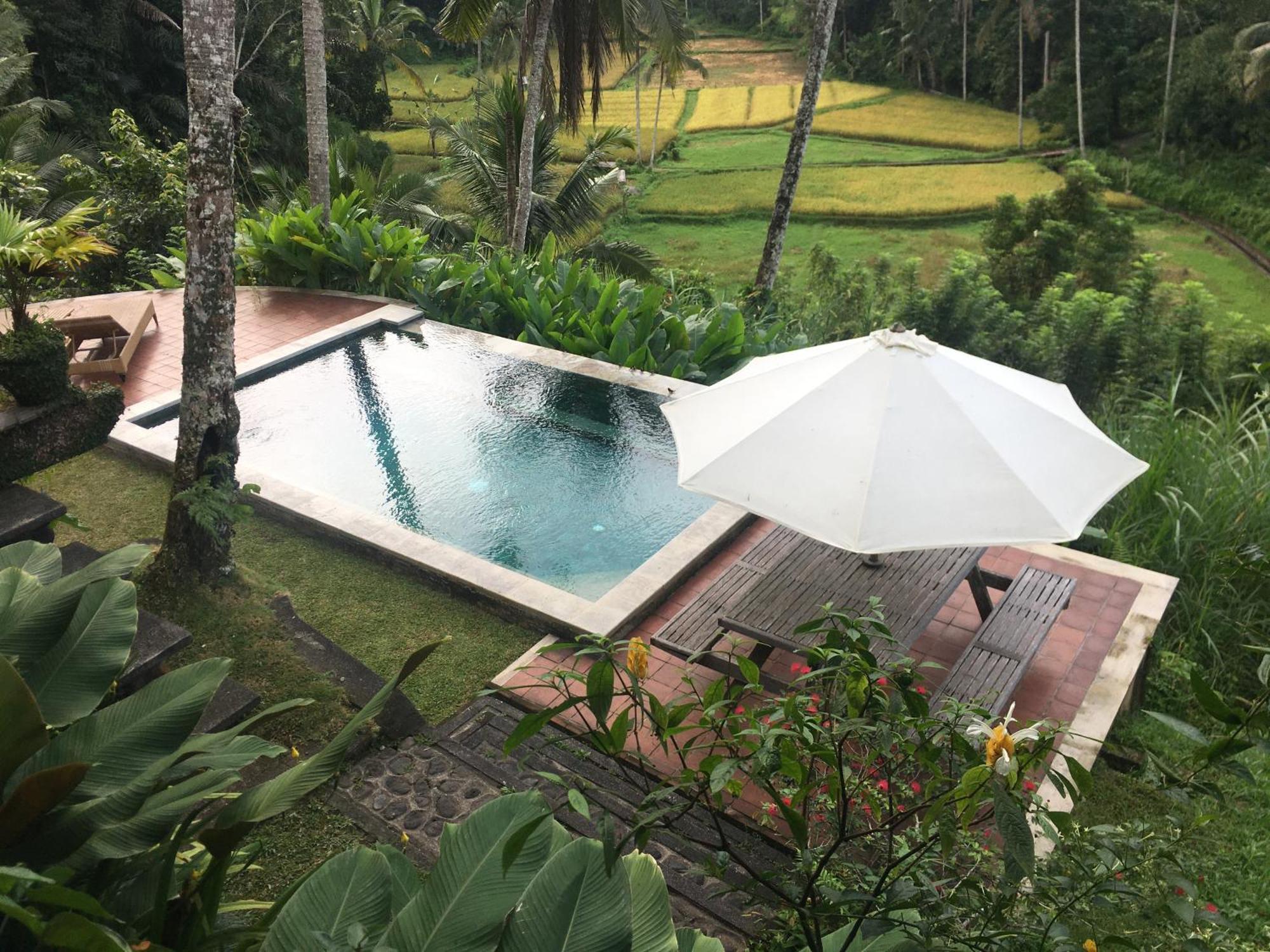 Villa The Papas