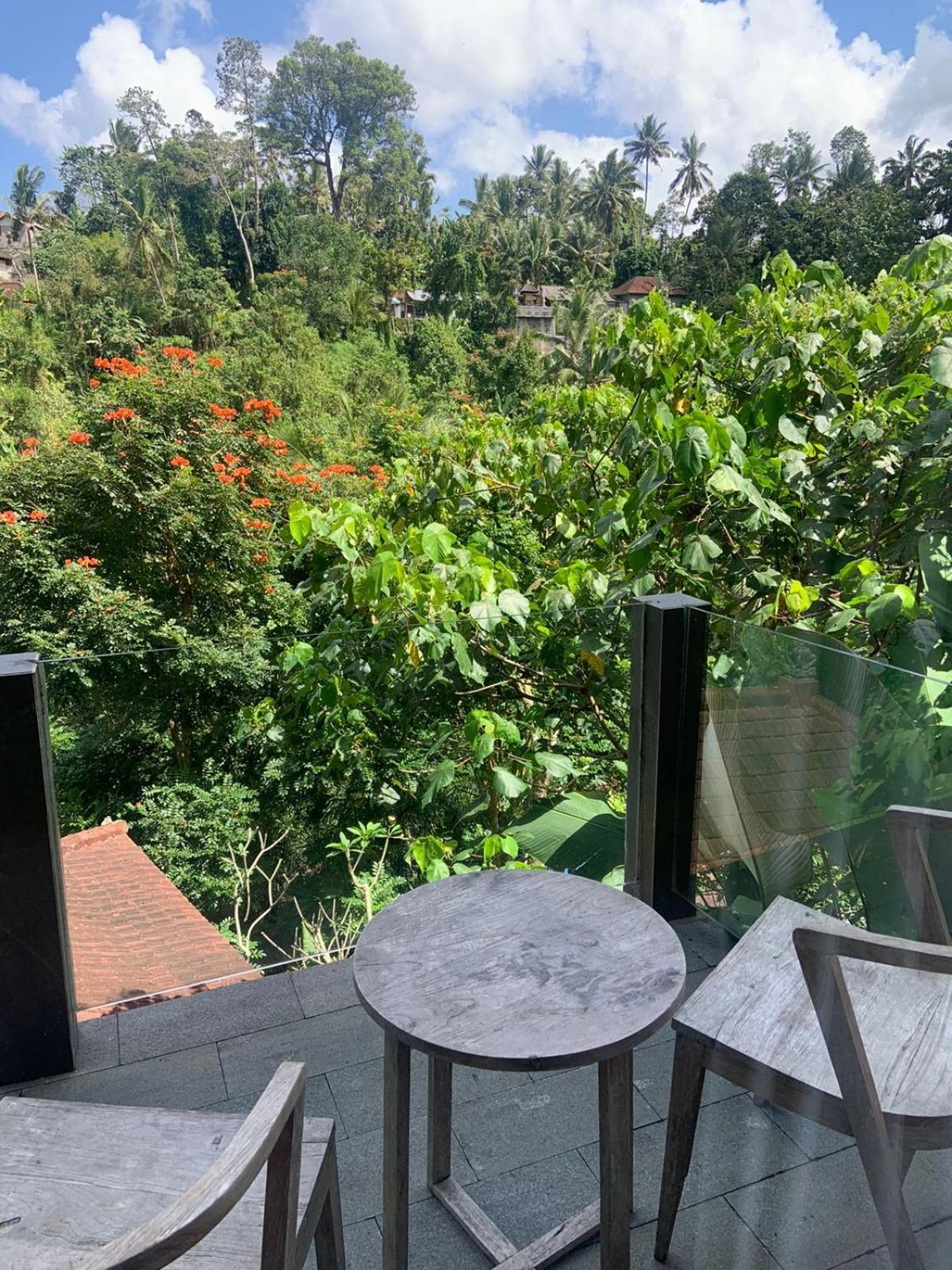 Ubud Hills & Tegallalang (Bali)