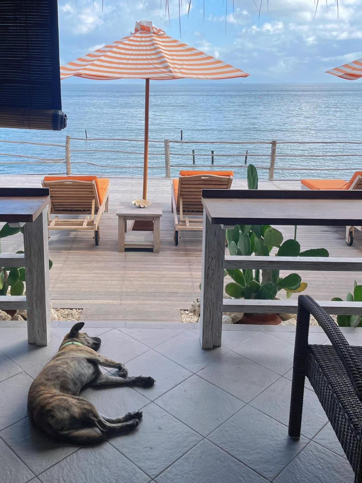 Vns Beachfront Guest house