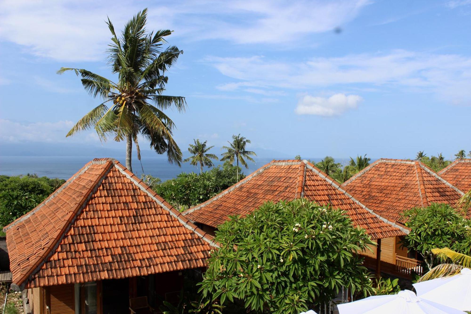 Village Jungle Resort