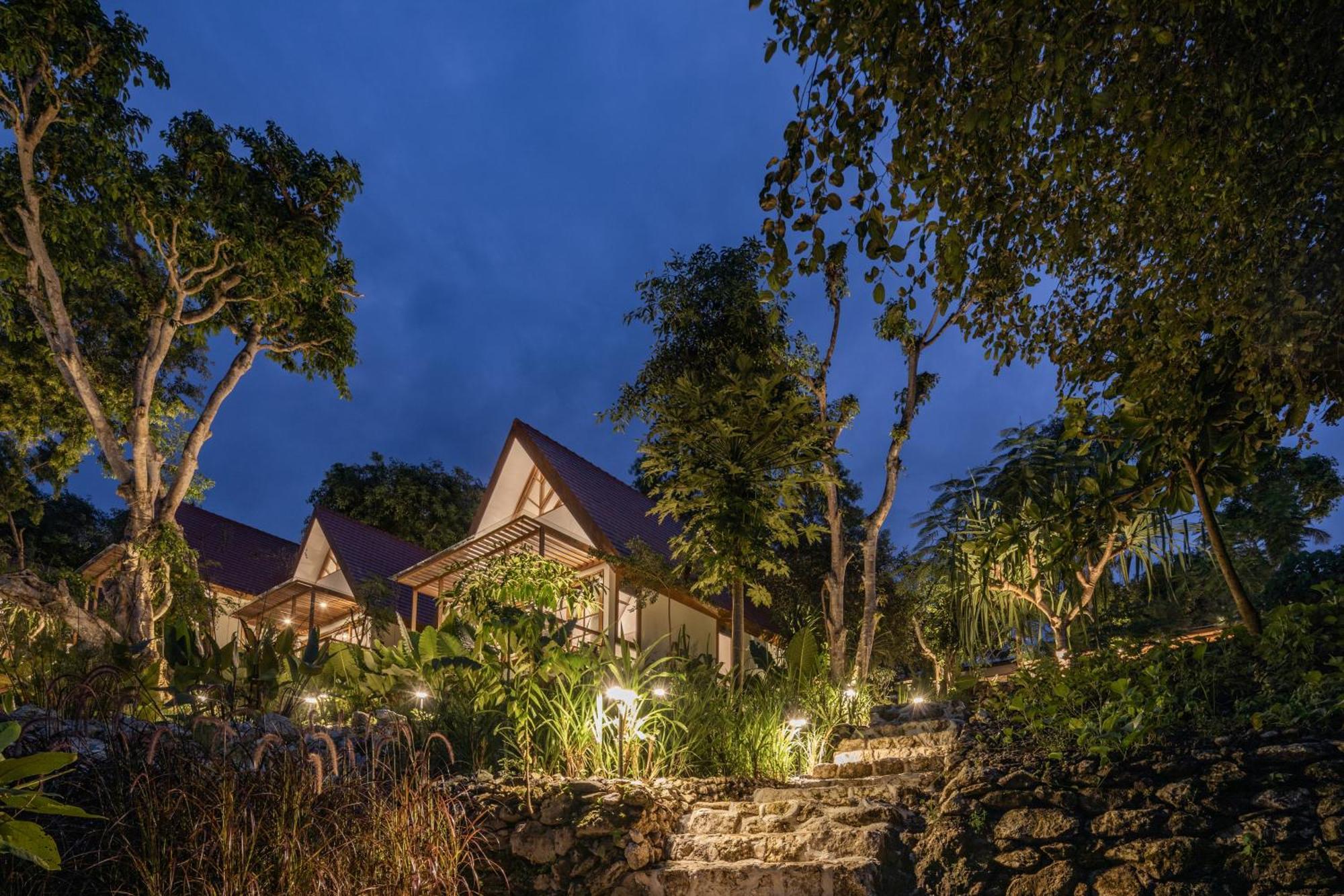 Resor Deep Roots Dive & Yoga