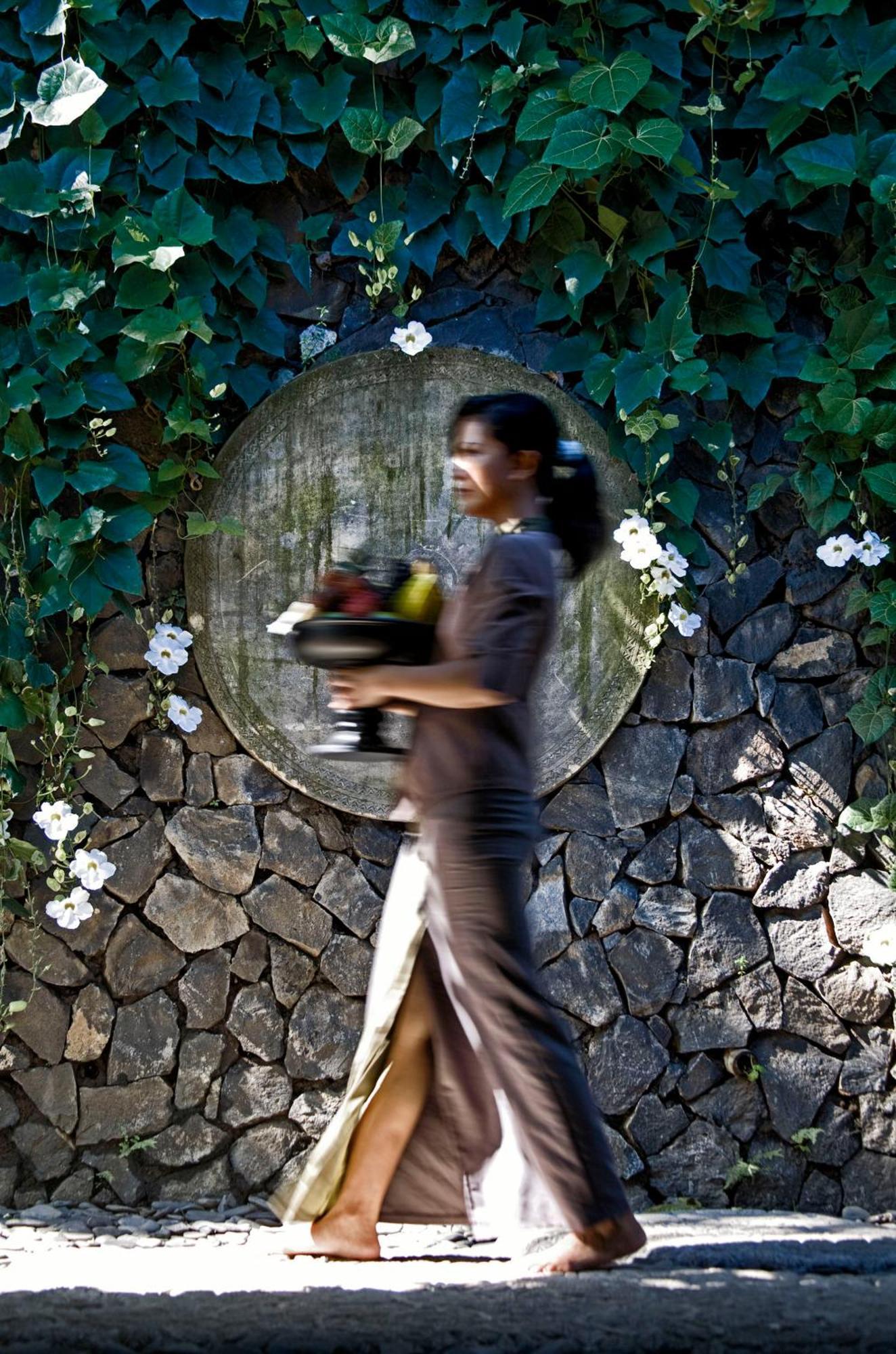 Villa The Damai Lovina (Bali)
