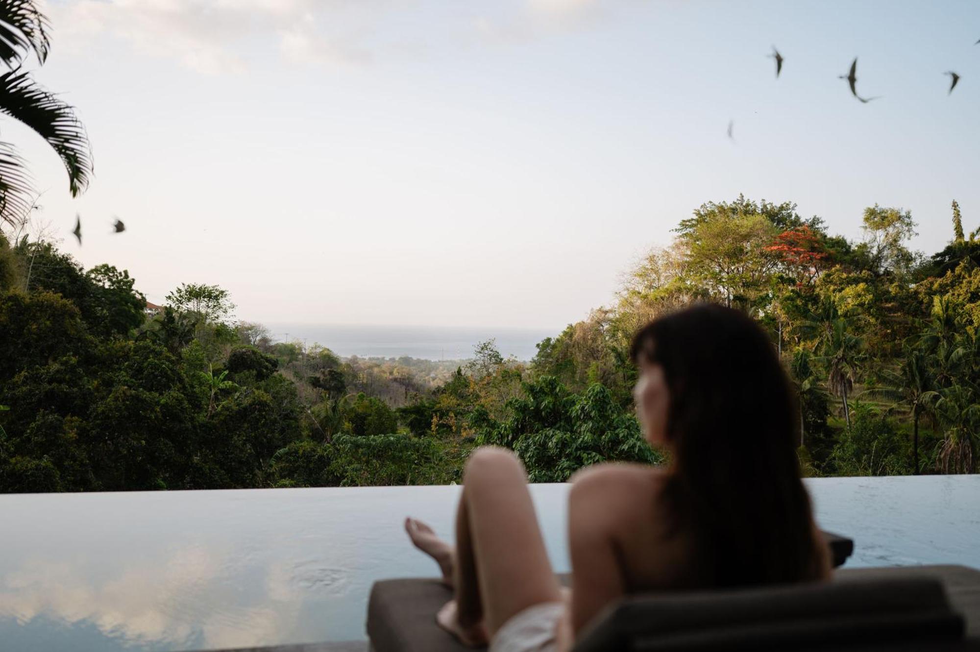 The Damai Lovina (Bali)