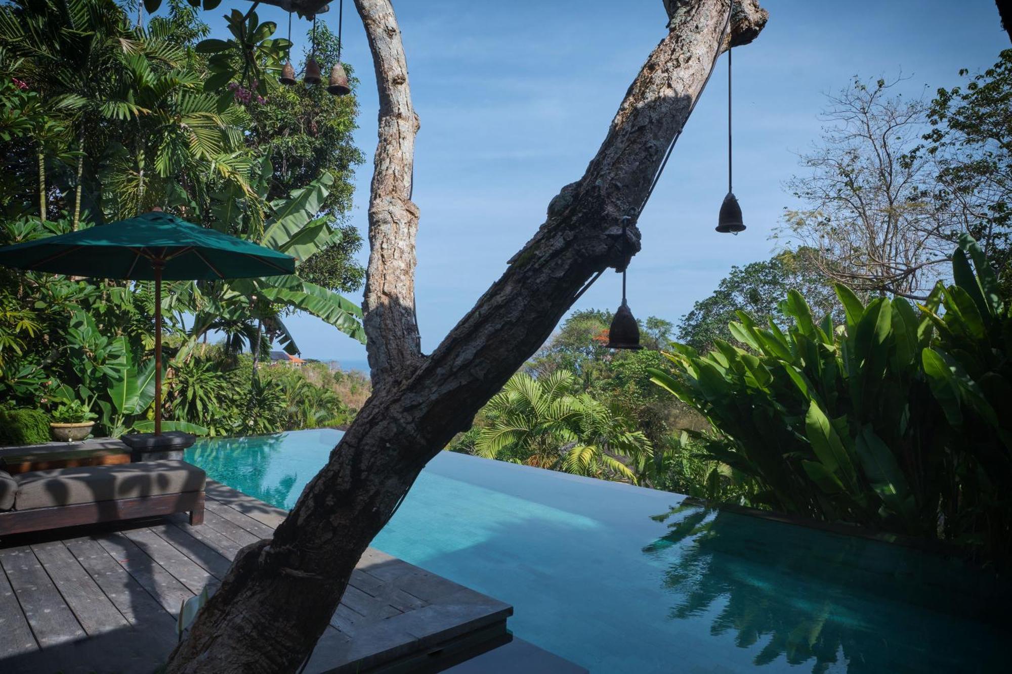 The Damai Lovina (Bali)