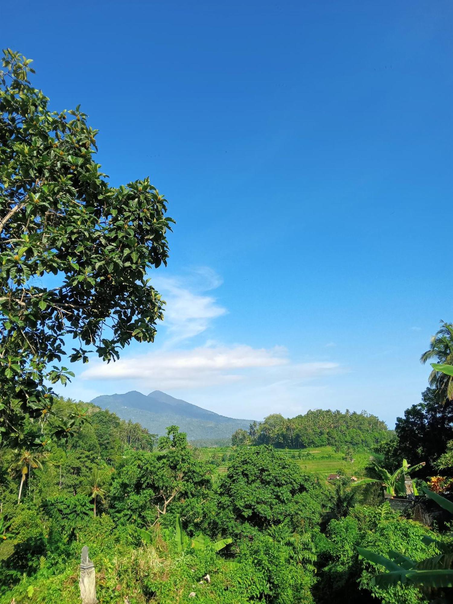 Alamku Inn *