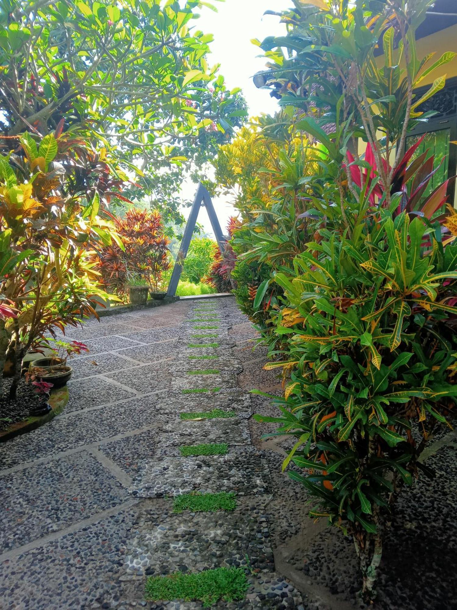 Inn Alamku Karangasem (Bali)