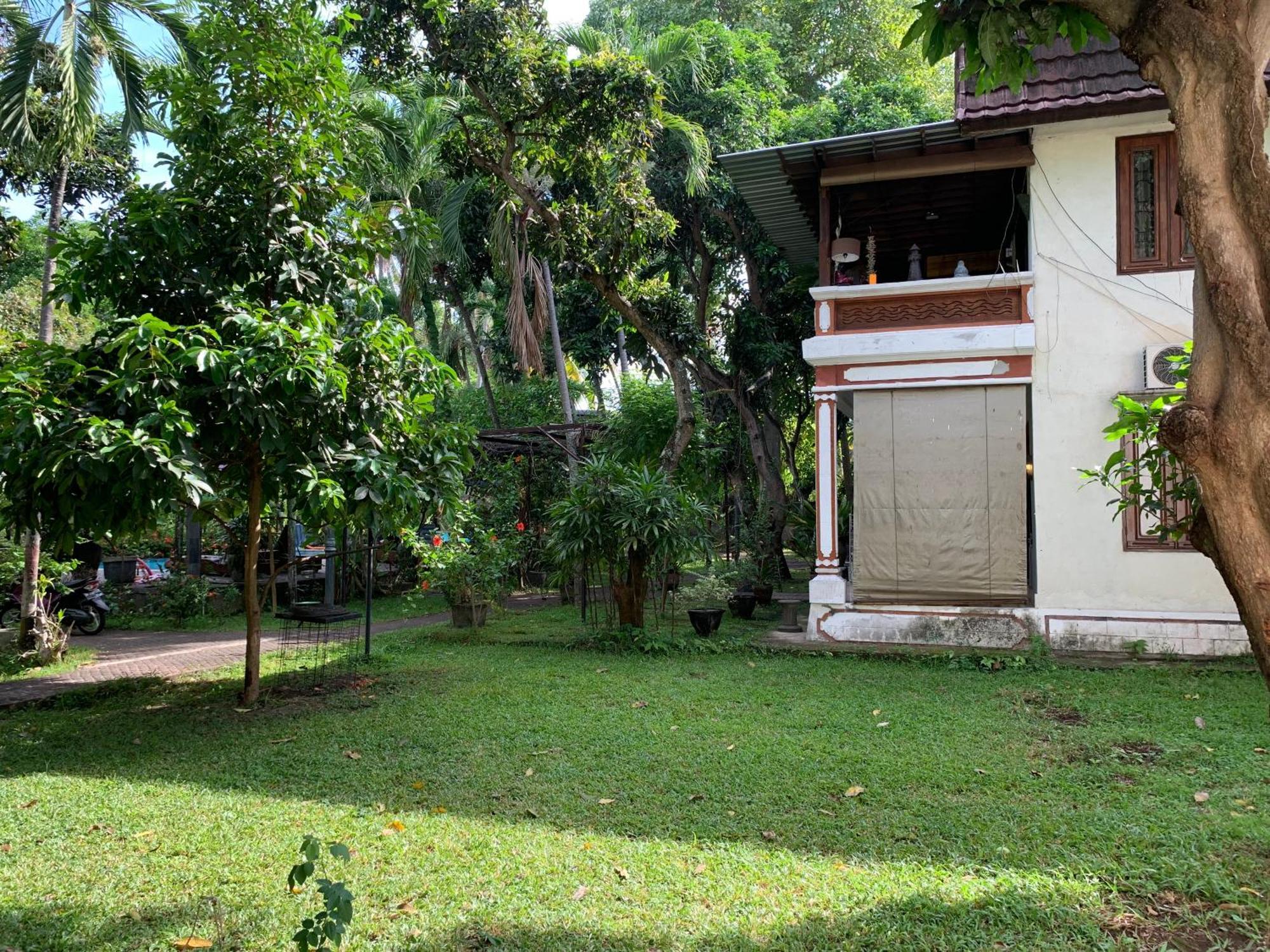 Guest house Lumbung