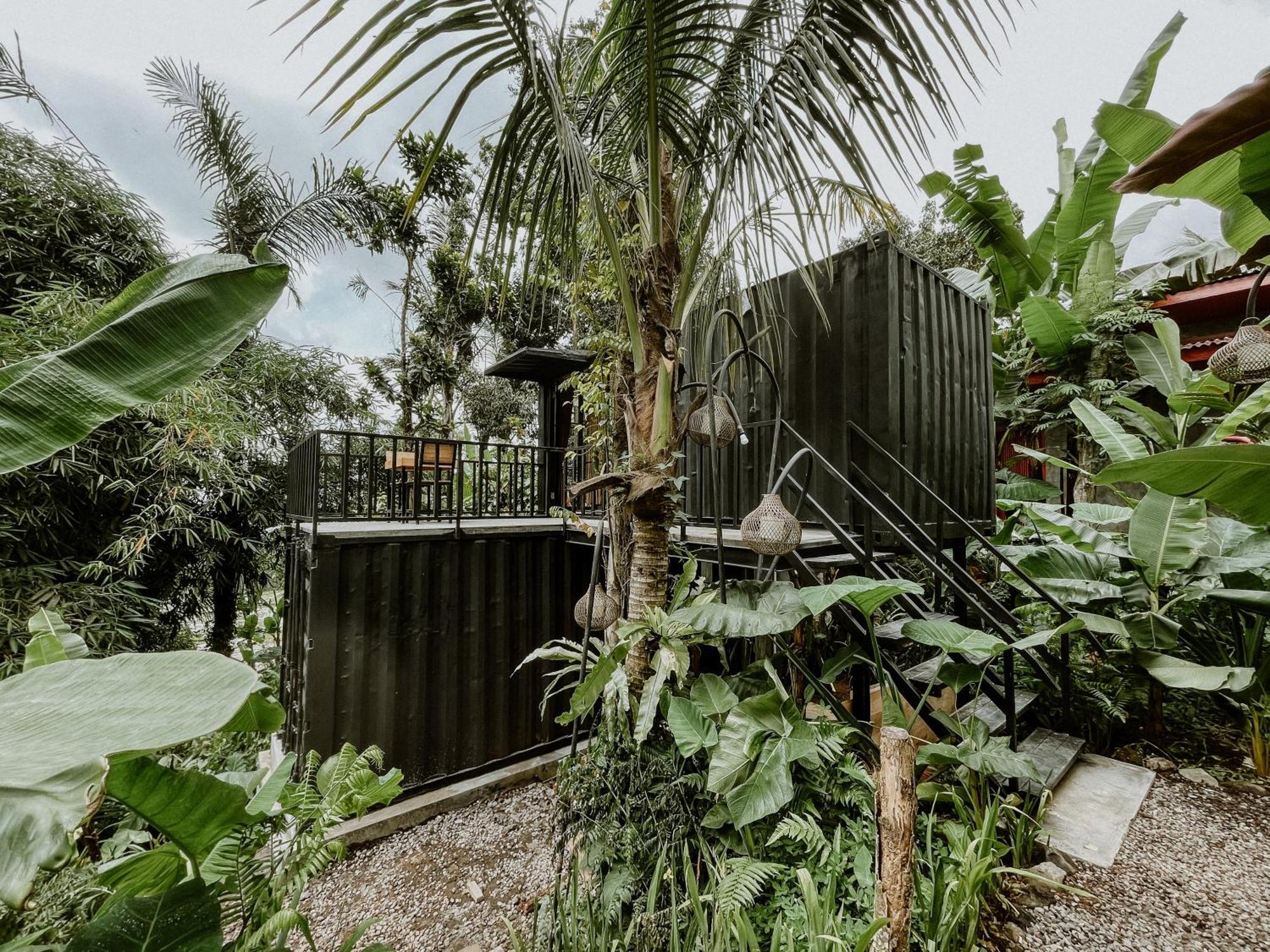 Daydream Resort Tampaksiring