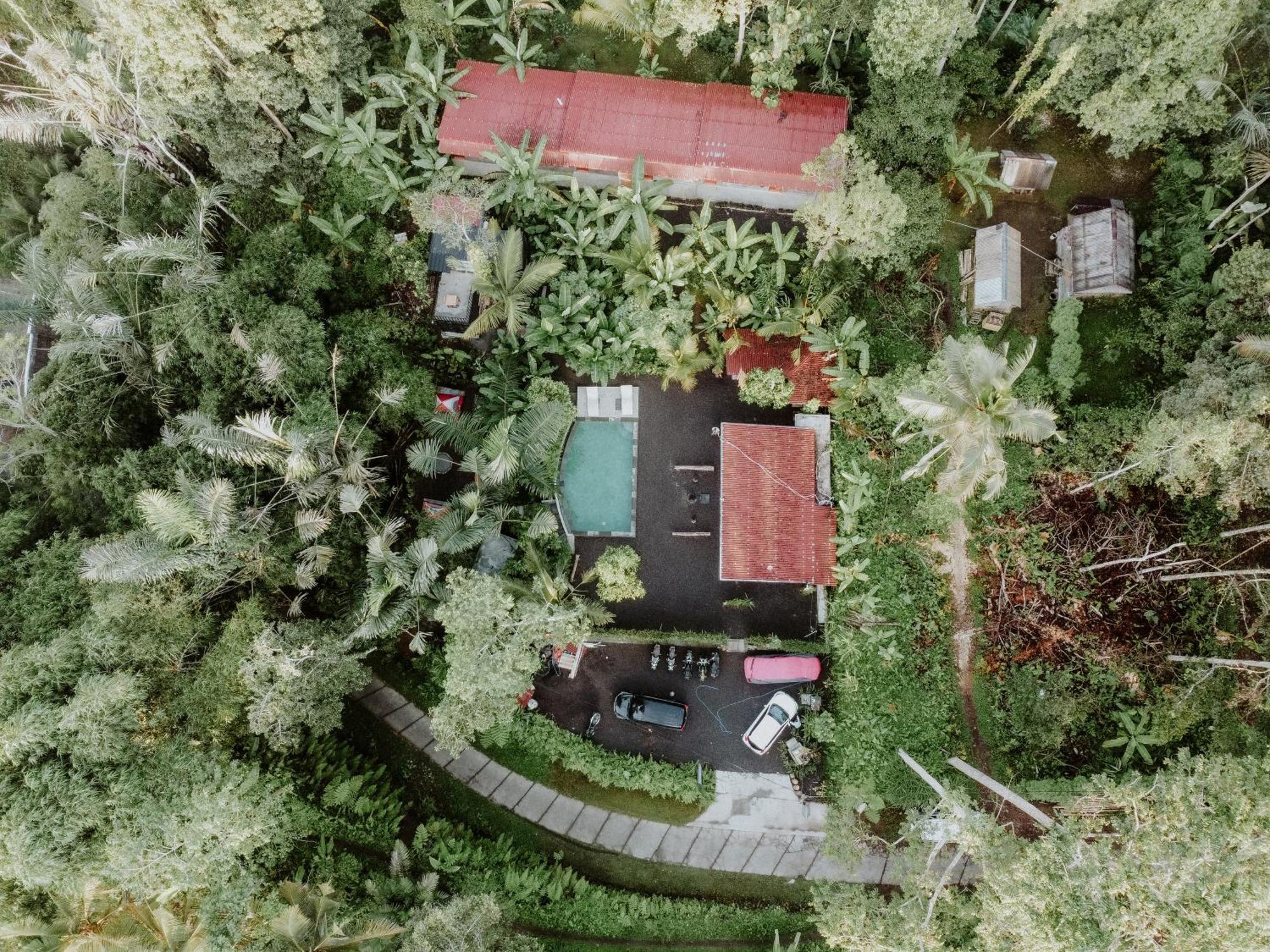 Daydream Resort