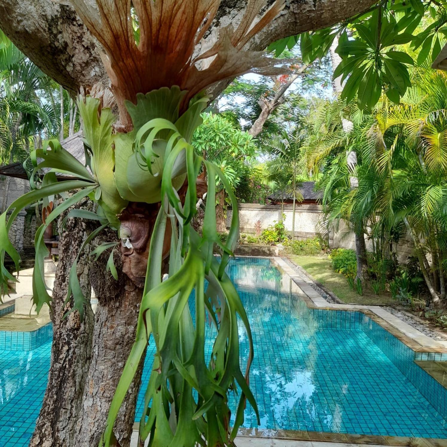 The Royal Bali 5*