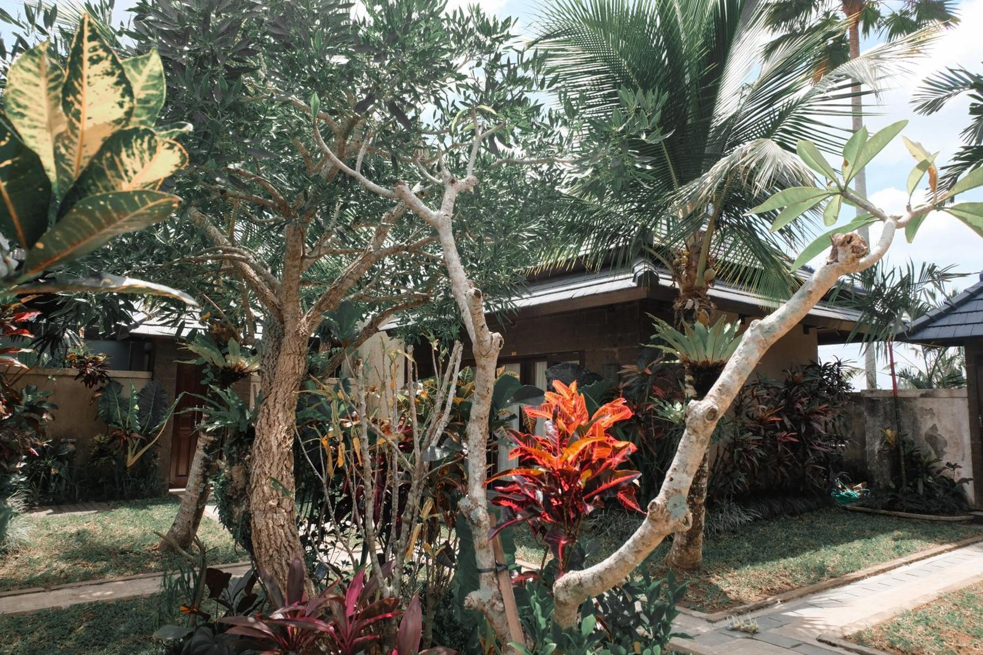 Cendrawasih Ubud Tegallalang (Bali)