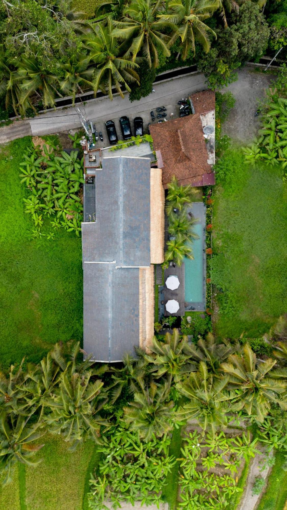 Kandarpa Chse Certified Ubud (Bali)