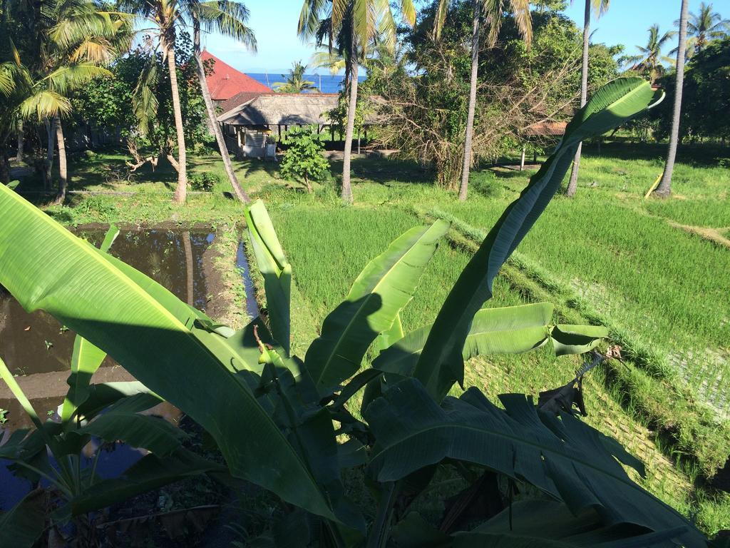 Kangkung Wisma tamu Jasri