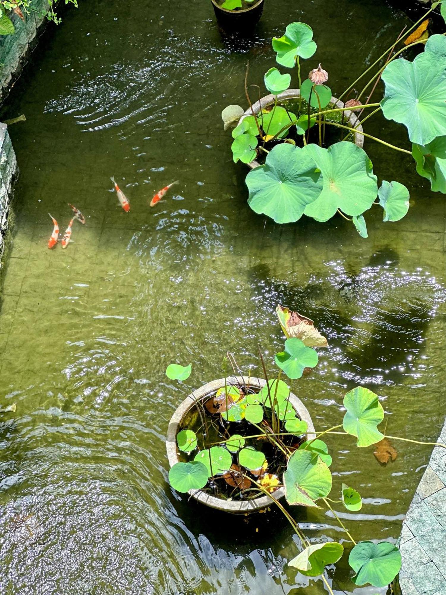 Inn Sattva Yoga Retreat *
