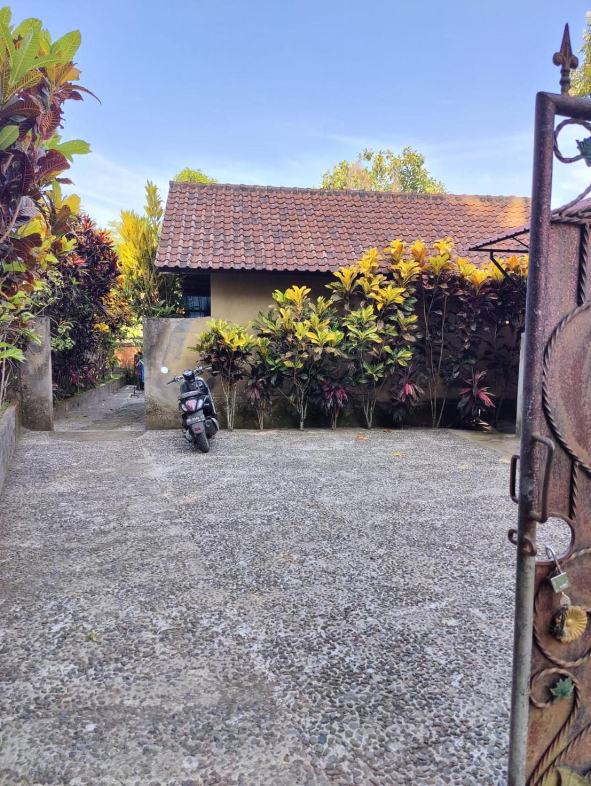 Alamku Karangasem (Bali)