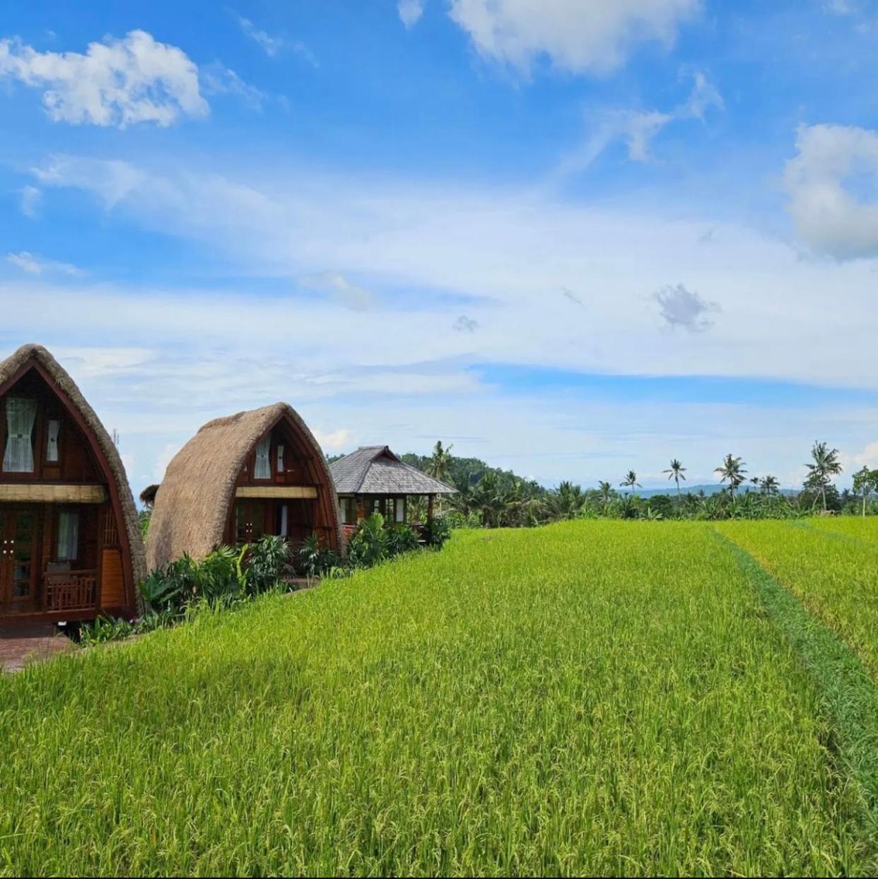 Cabe Bali Guest house 3*