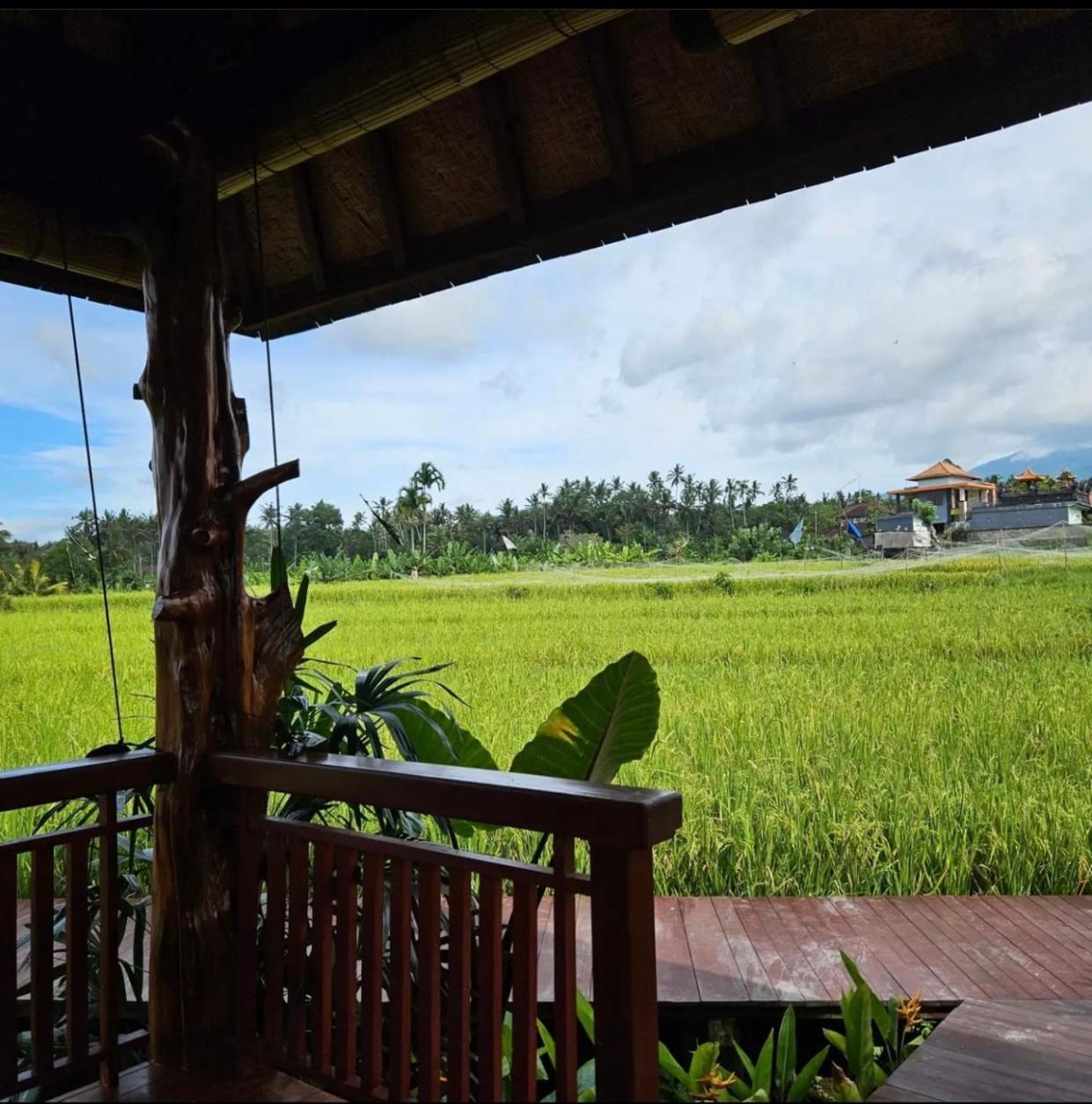 Guest house Cabe Bali