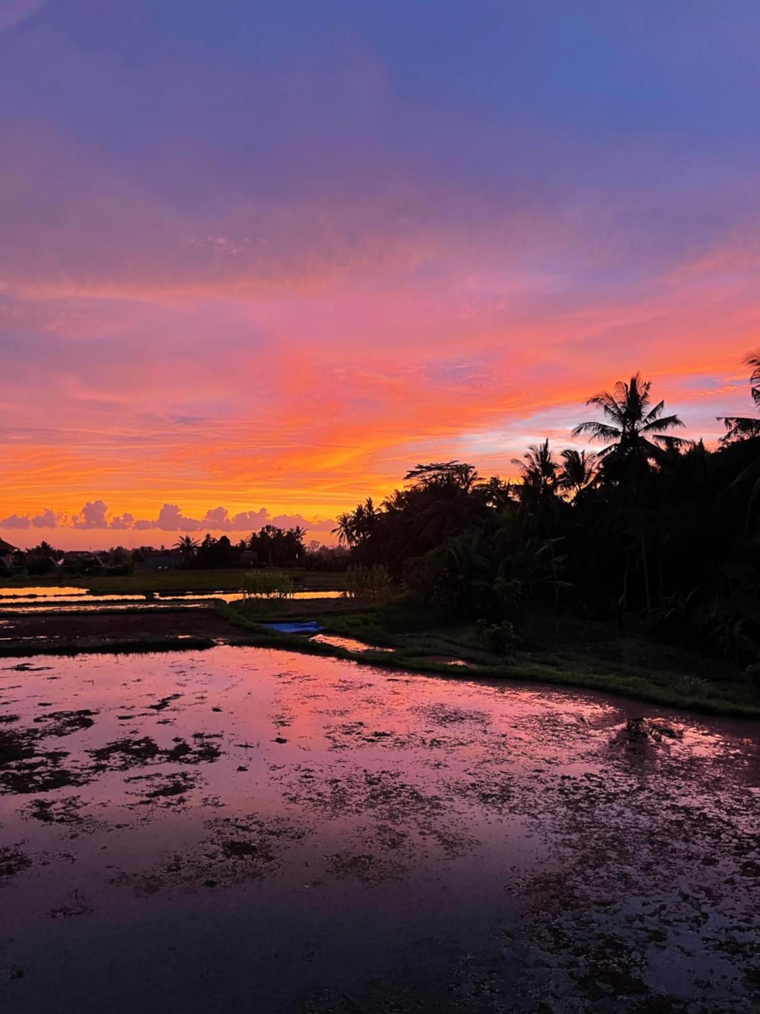 The Luxe * Ubud (Bali)