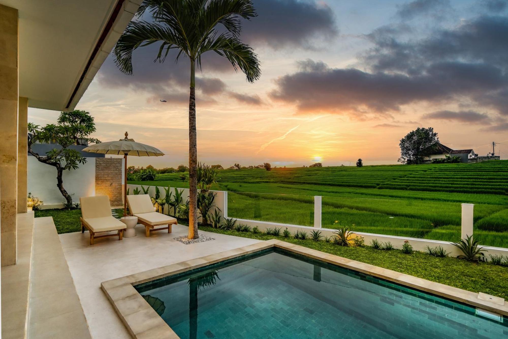 Villa Santorini Sunset New 4 Bedroom With Beautiful Rice Paddy View And A Large Pool Canggu (Bali)