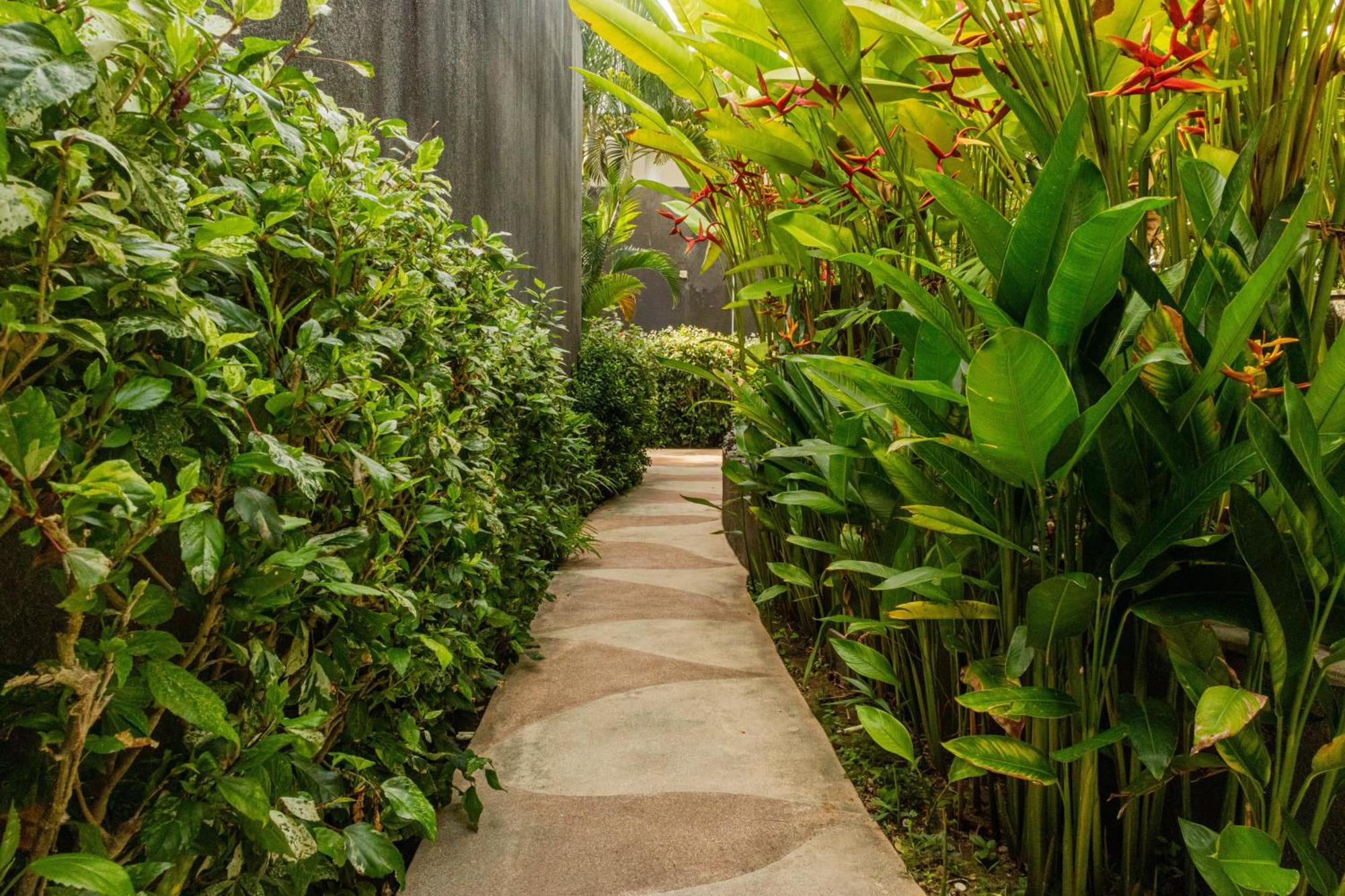 Taman Mesari Luxury Villas-seminyak Villa *