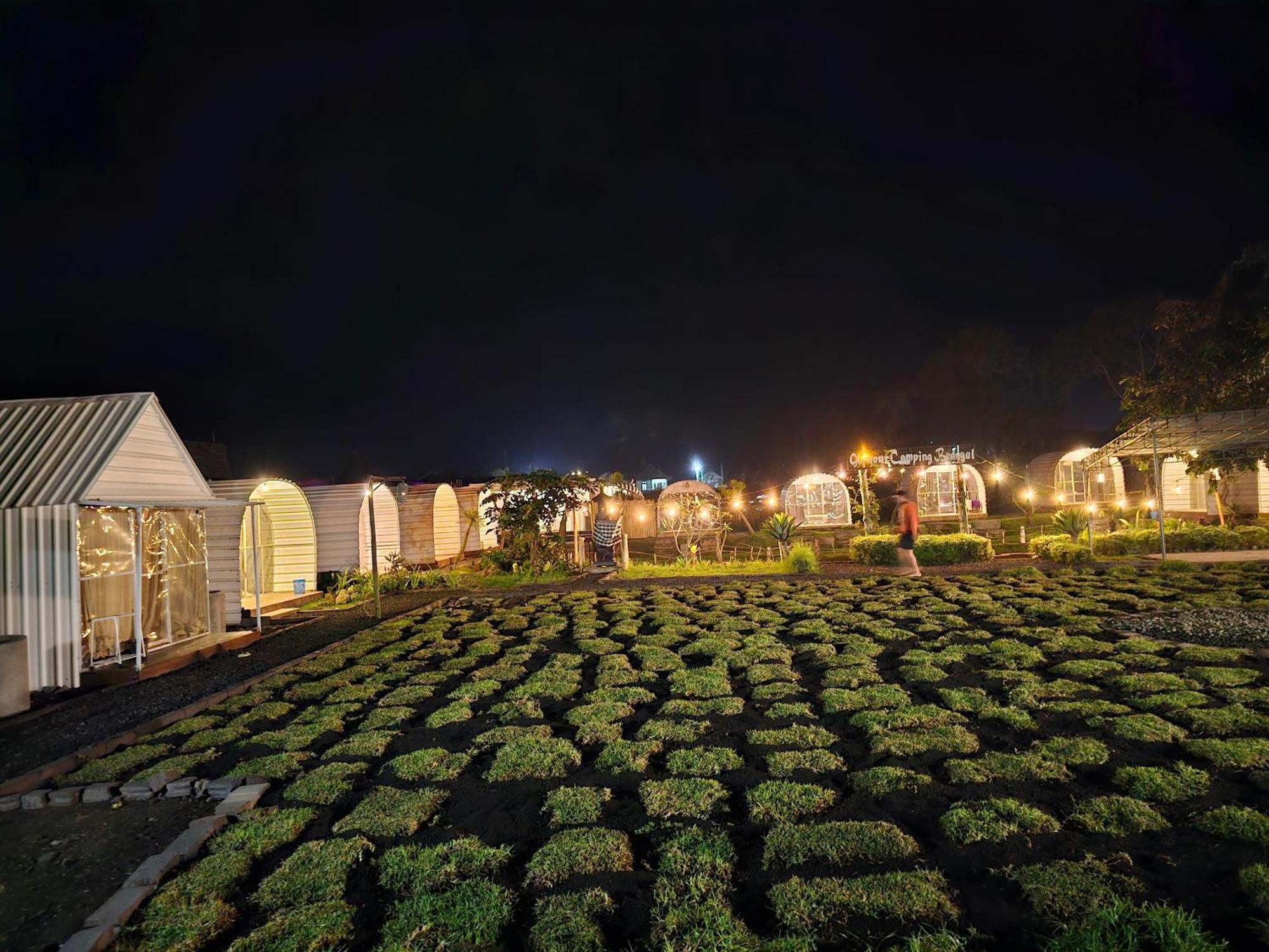 Lodge Glamour Bedugul
