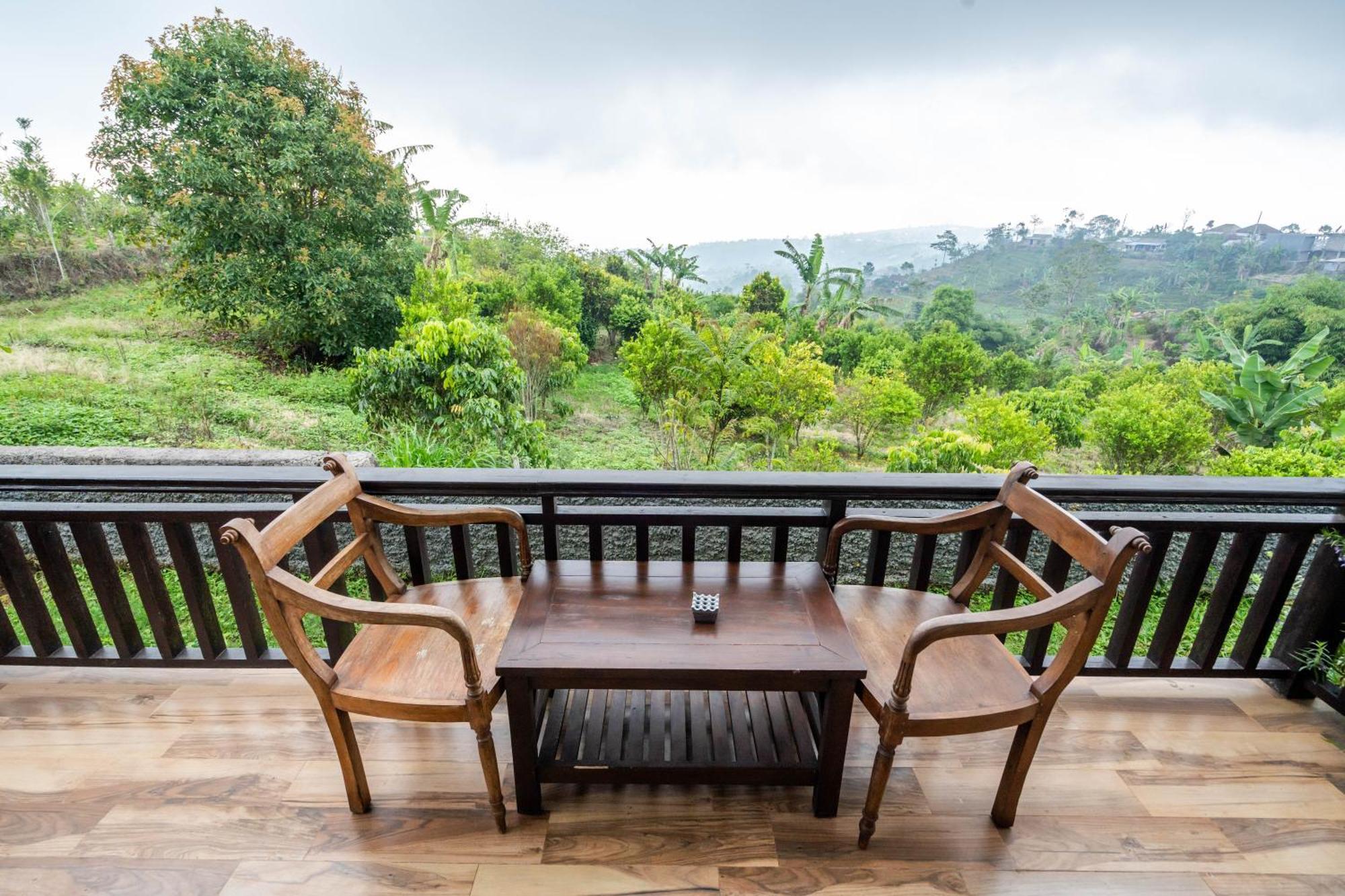 Shankara Bali