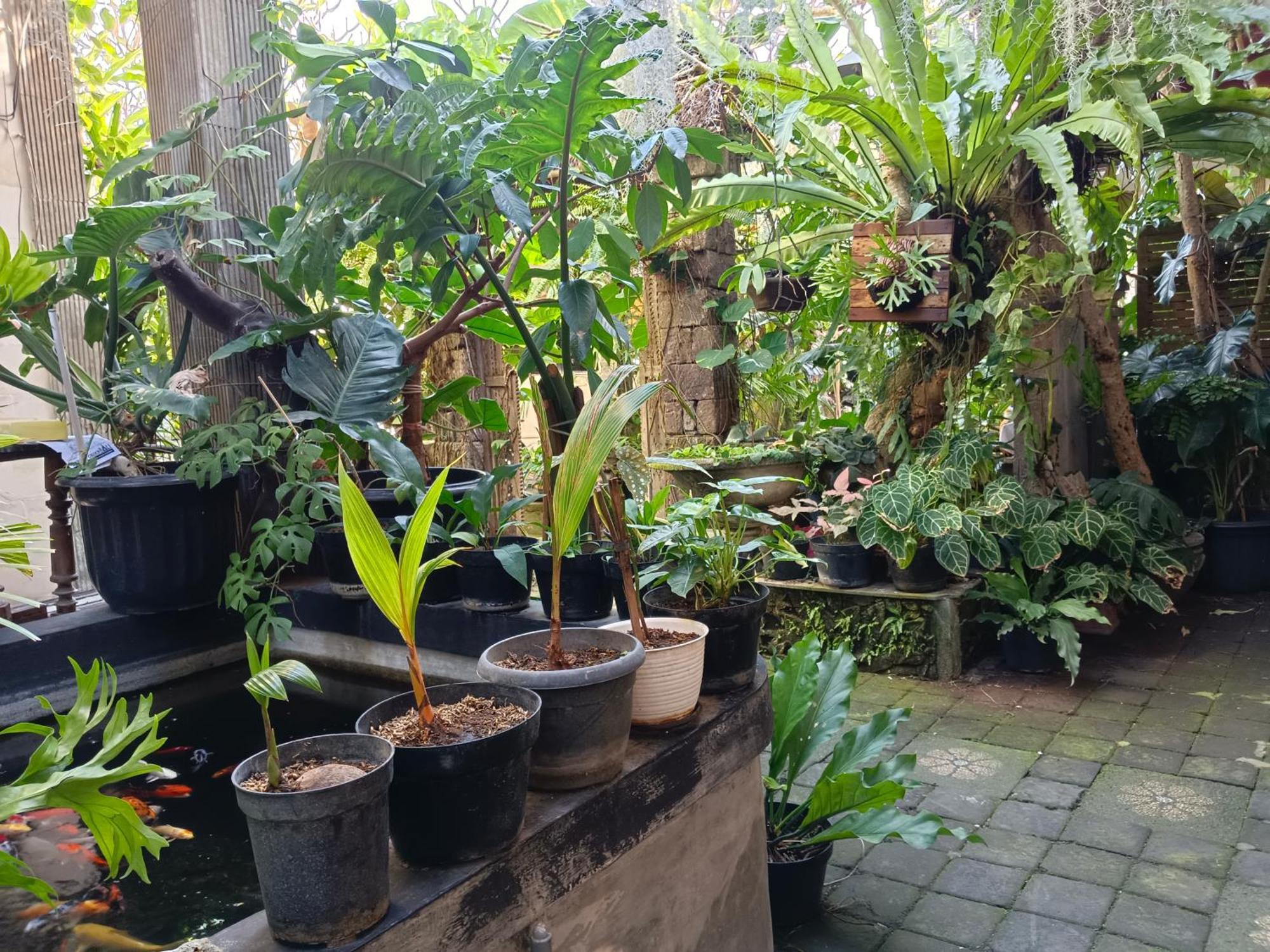 Guest house Double N Bali Sanur (Bali)