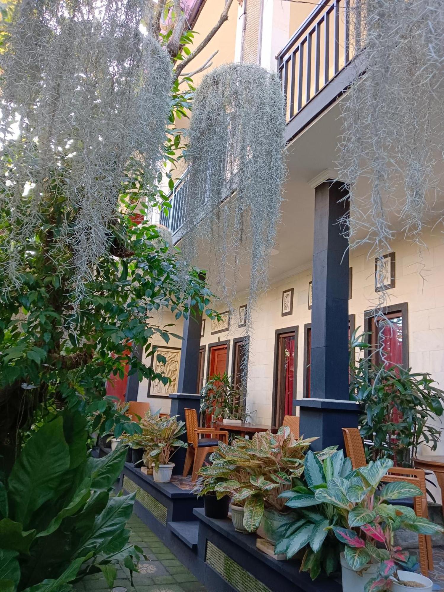 Guest house Double N Bali Sanur (Bali)