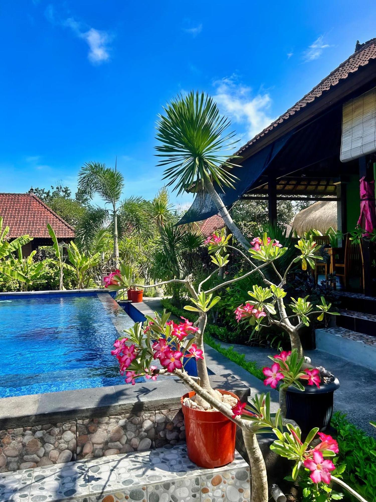 Island Garden Huts 3* Nusa Lembongan (Bali)