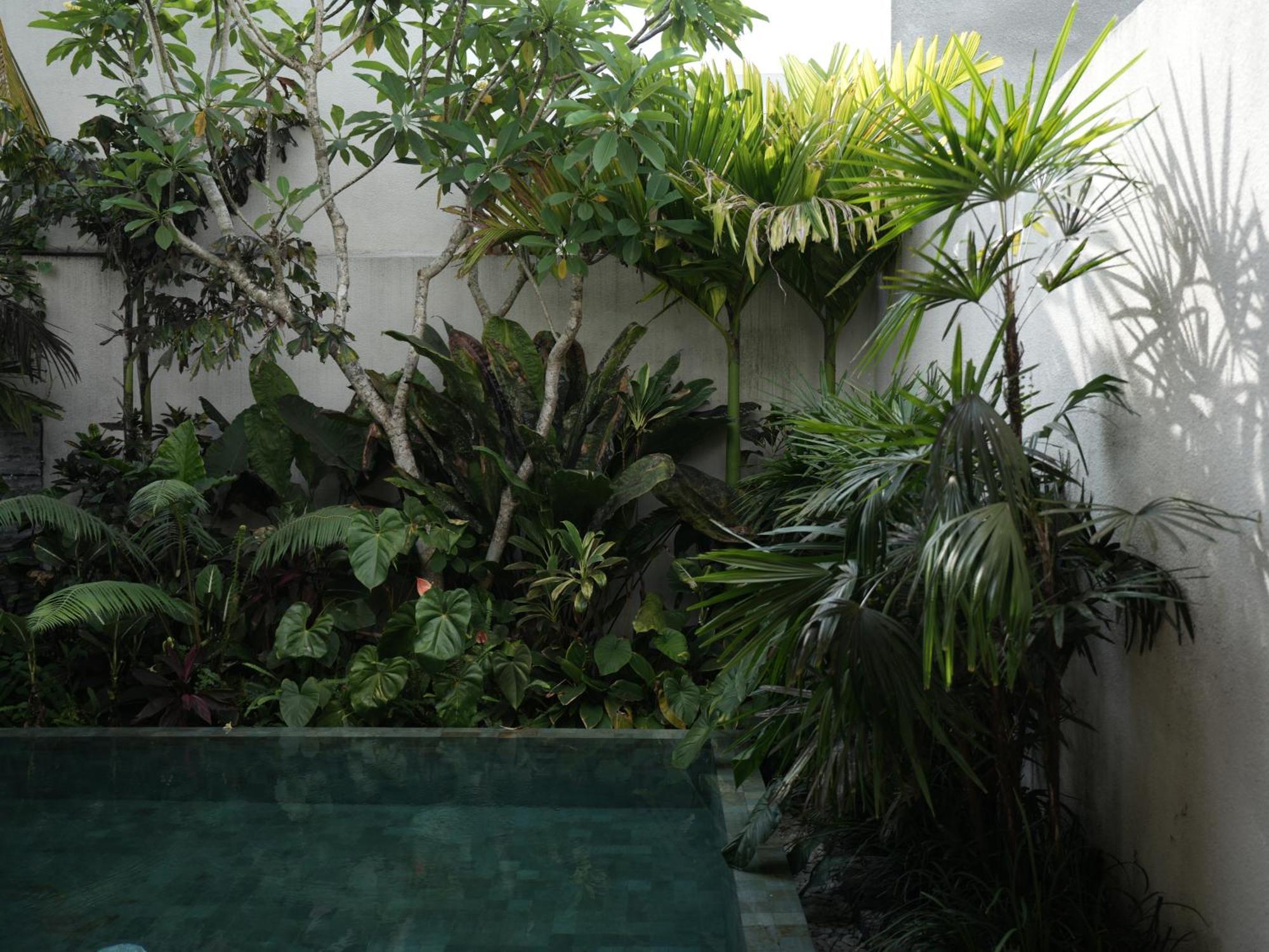 Daun Lebar Villa Payangan