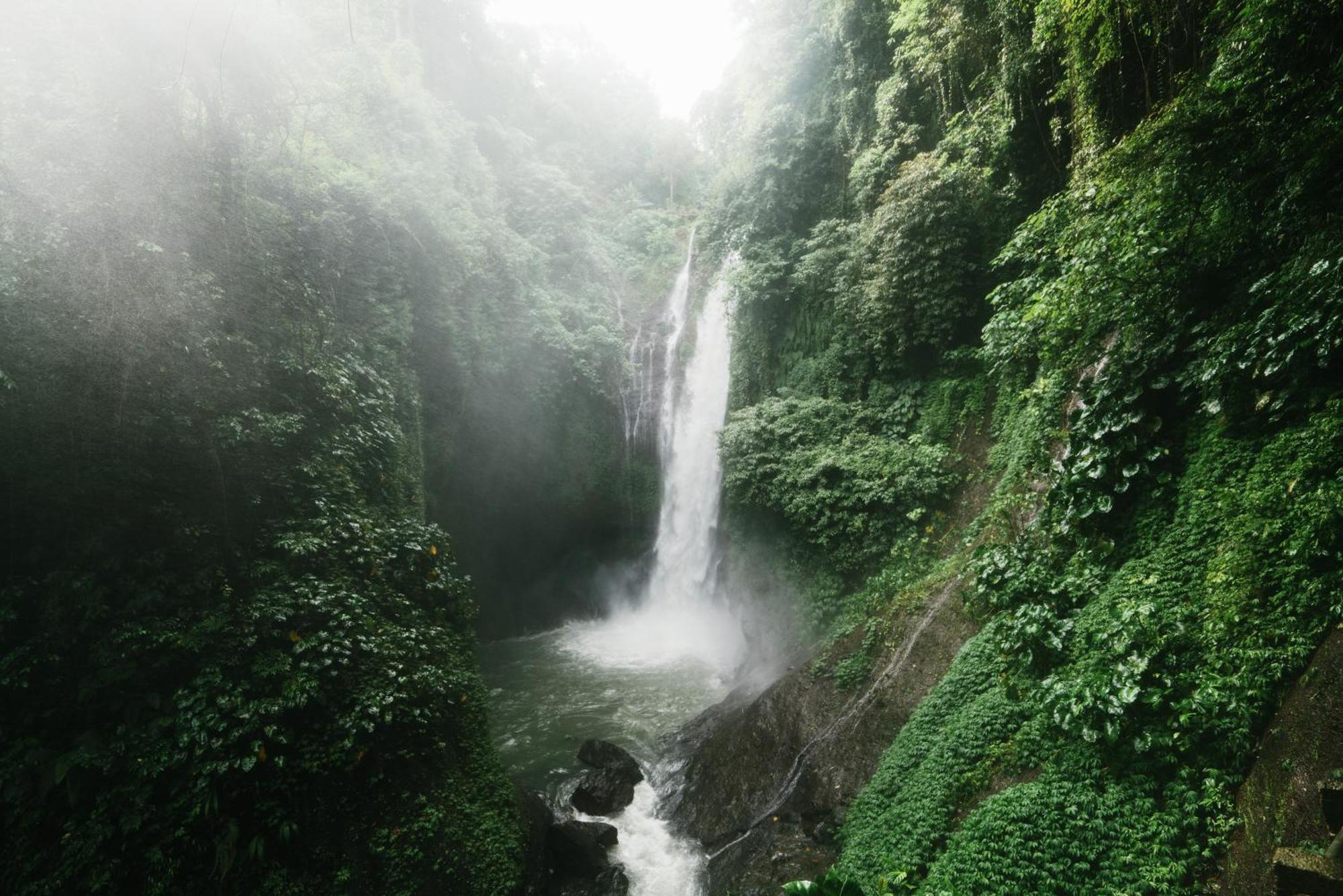 Maha Hills By Mahaprana Experience 5* Lovina (Bali)