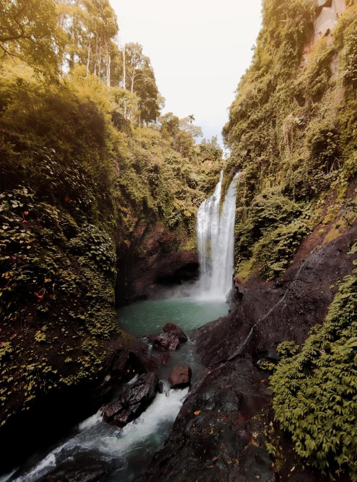 Maha Hills By Mahaprana Experience Resort Lovina (Bali)