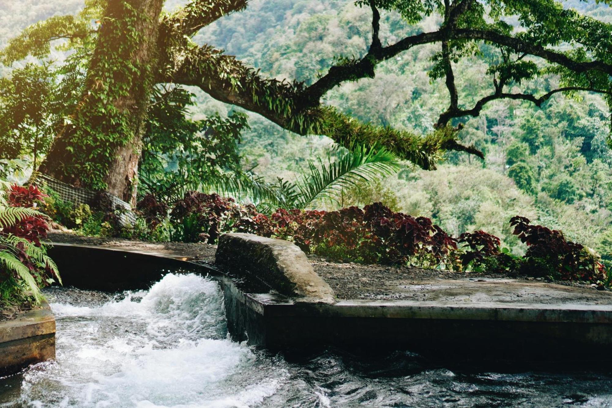Resort Maha Hills By Mahaprana Experience Lovina (Bali)