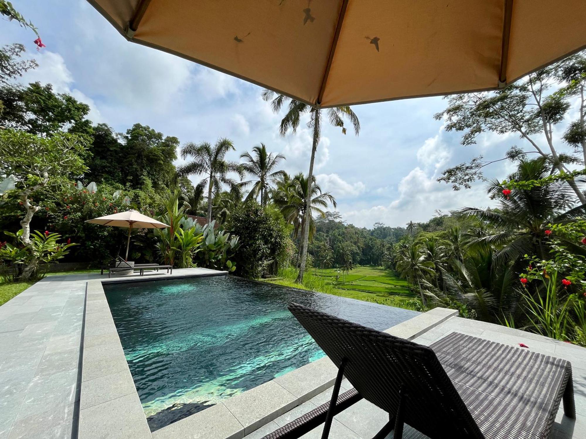 The Papas Villa Tegallalang (Bali)