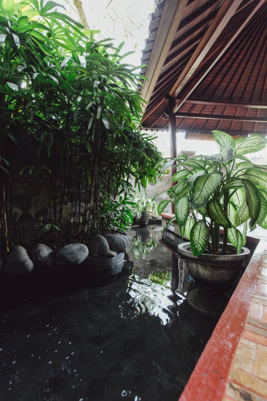 Kishi-kishi Artvilla