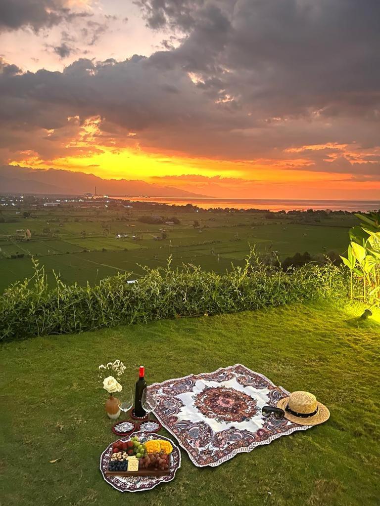Bula