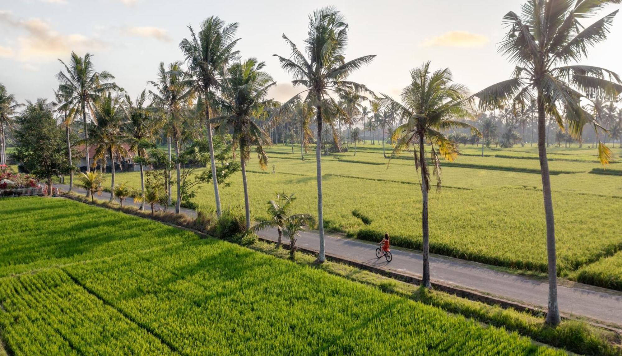 Thewakanda A Pramana Experience 4*