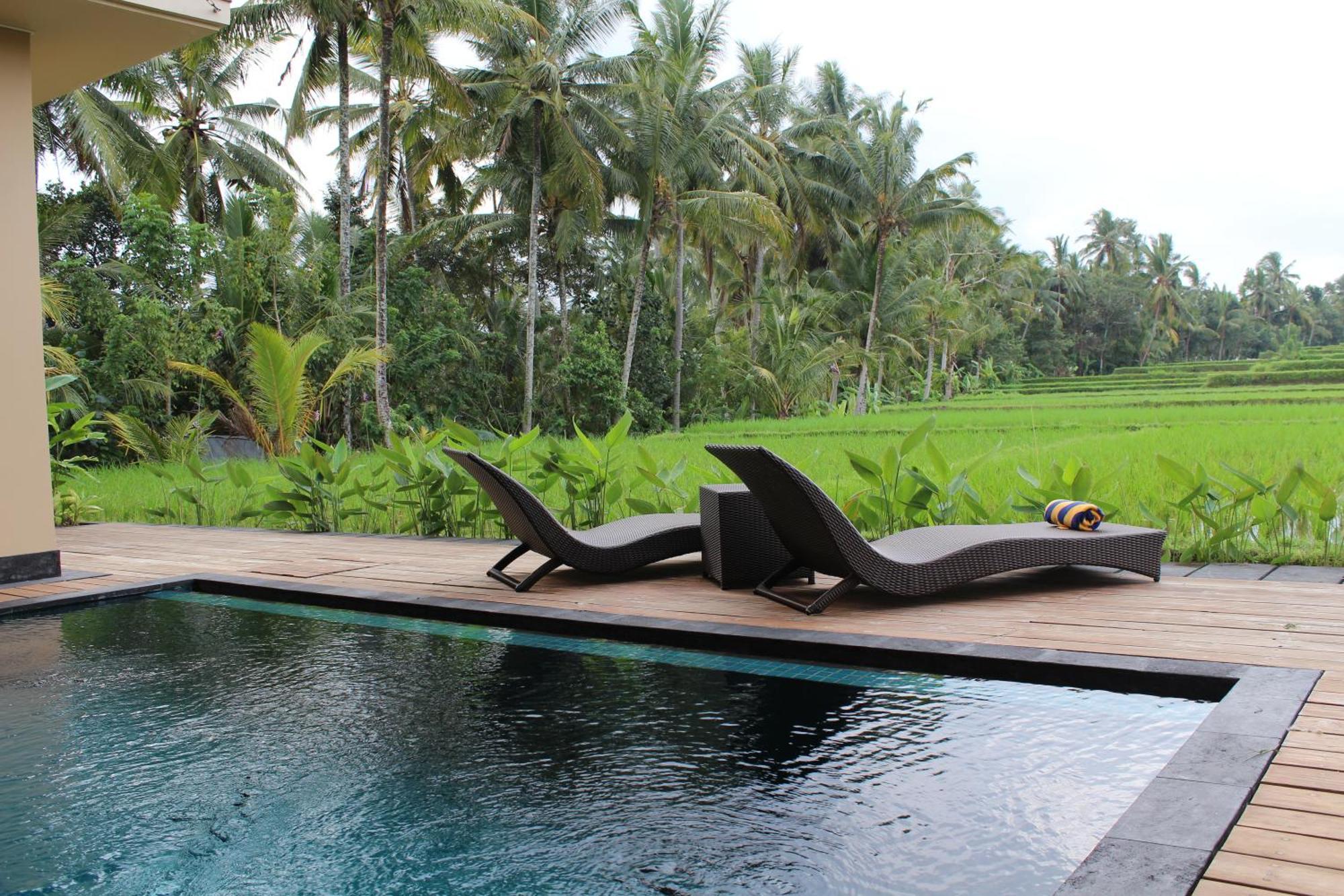 Manyi Village Hotel Ubud (Bali)