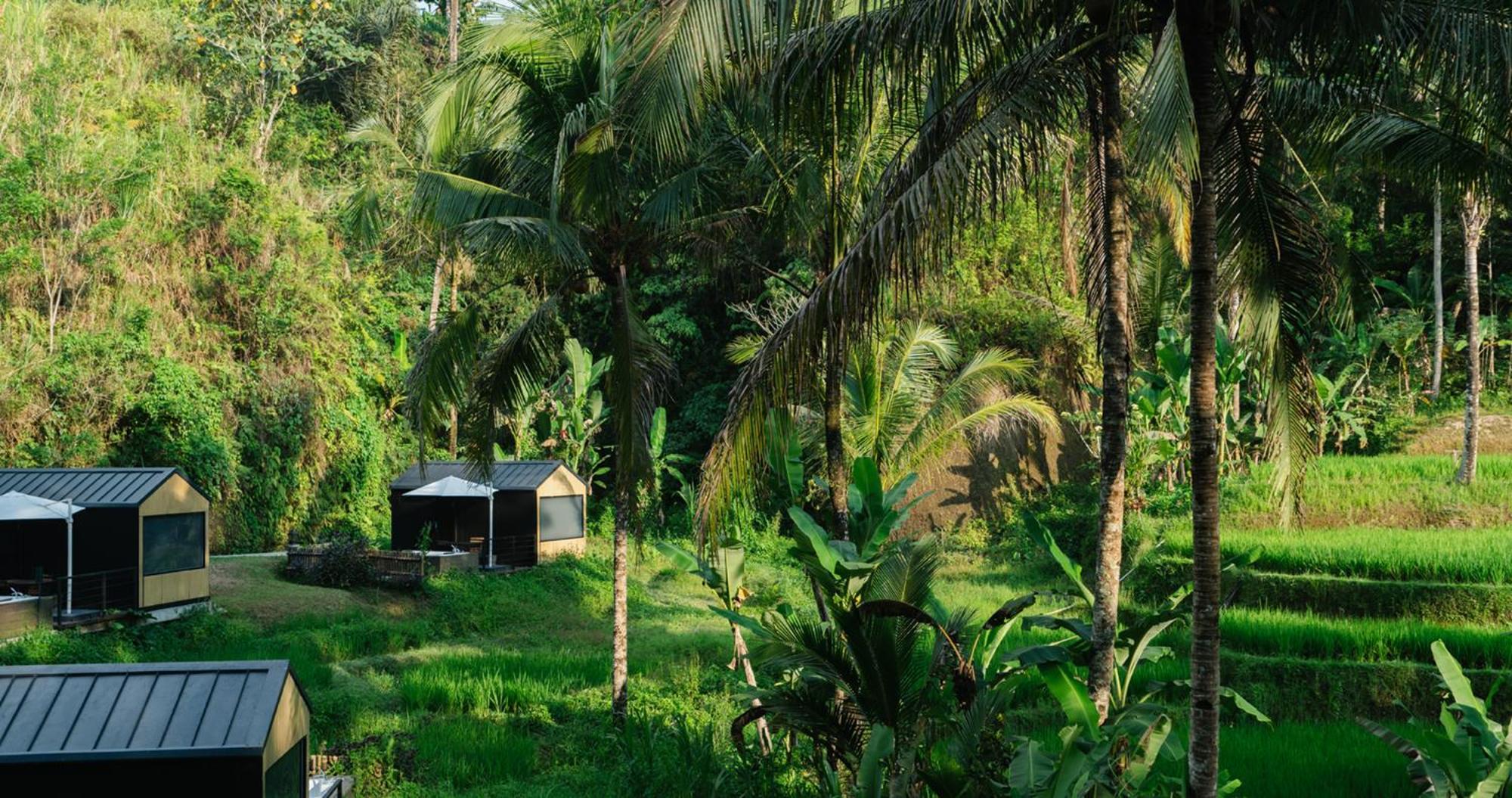 Resort Bobocabin Ubud, Bali